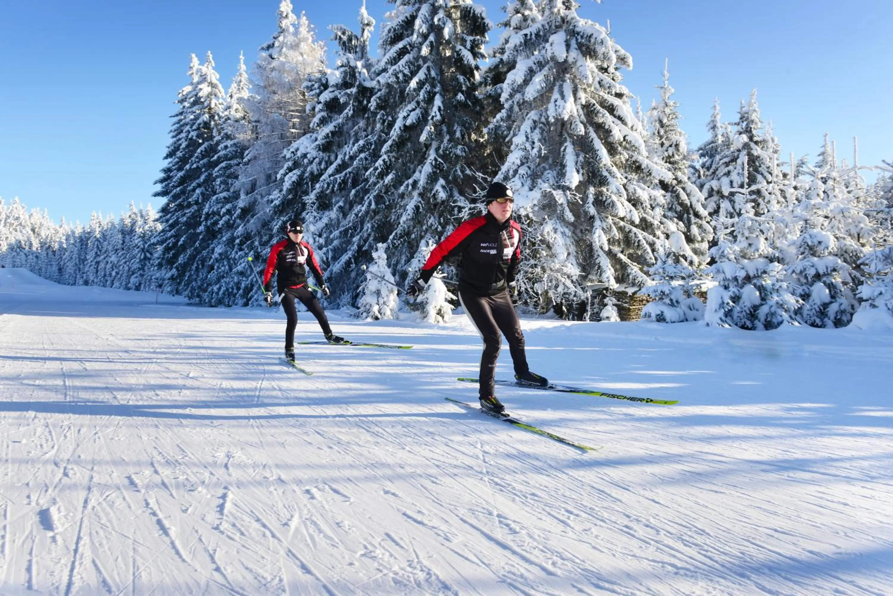 Skiing in Ferienhaus Grobauer