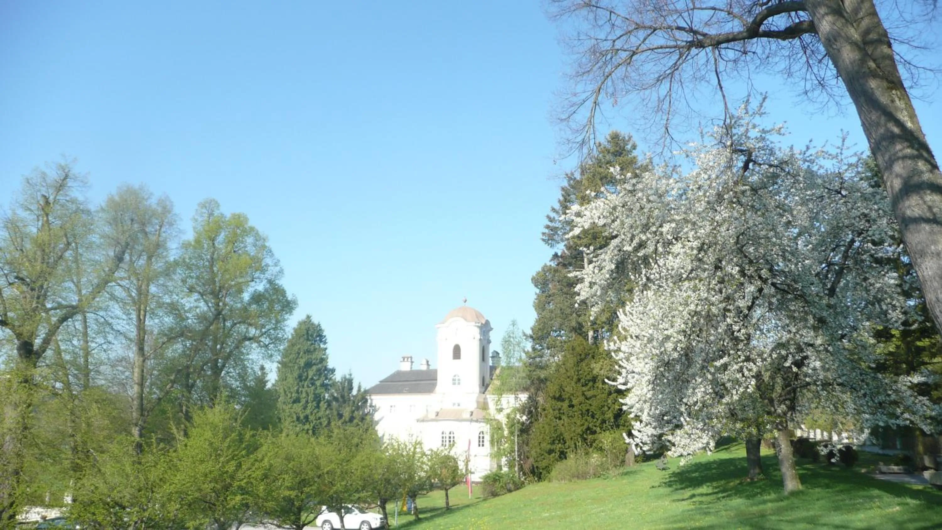 Restaurant/places to eat in Schlosshotel Rosenau Superior