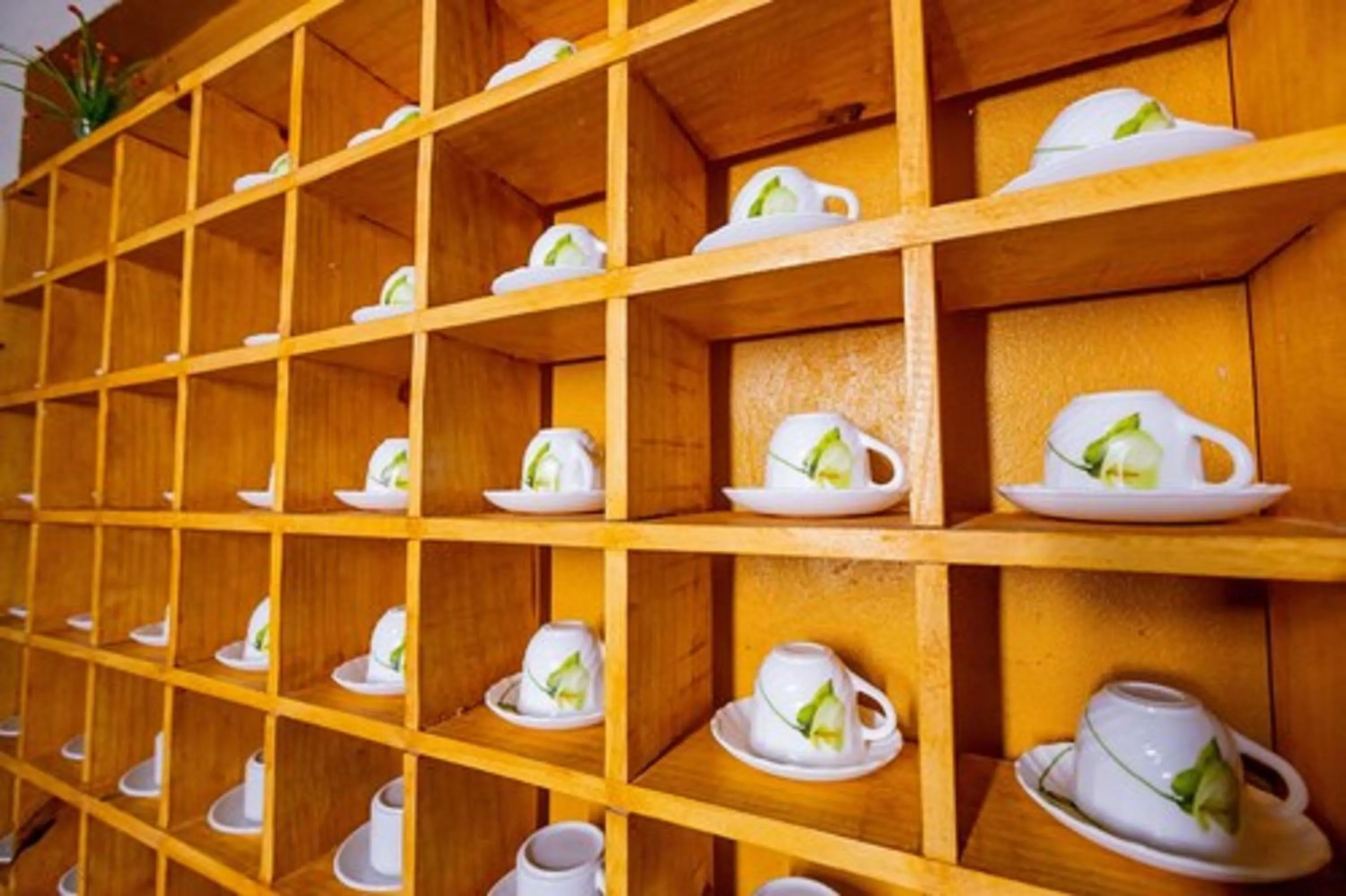 Area and facilities in OYO Hotel Das Pedras