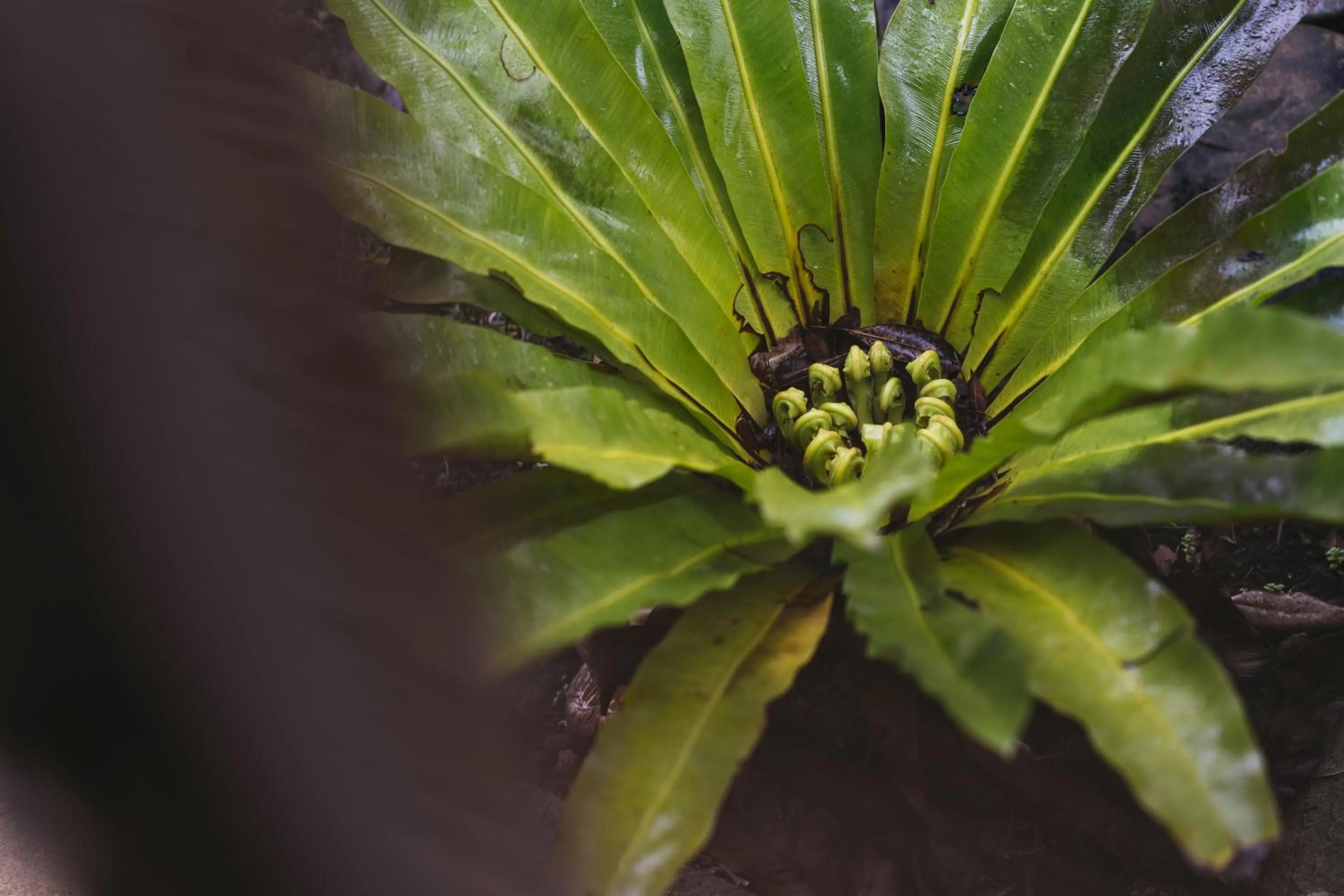 Decorative detail in PAAK Hotel