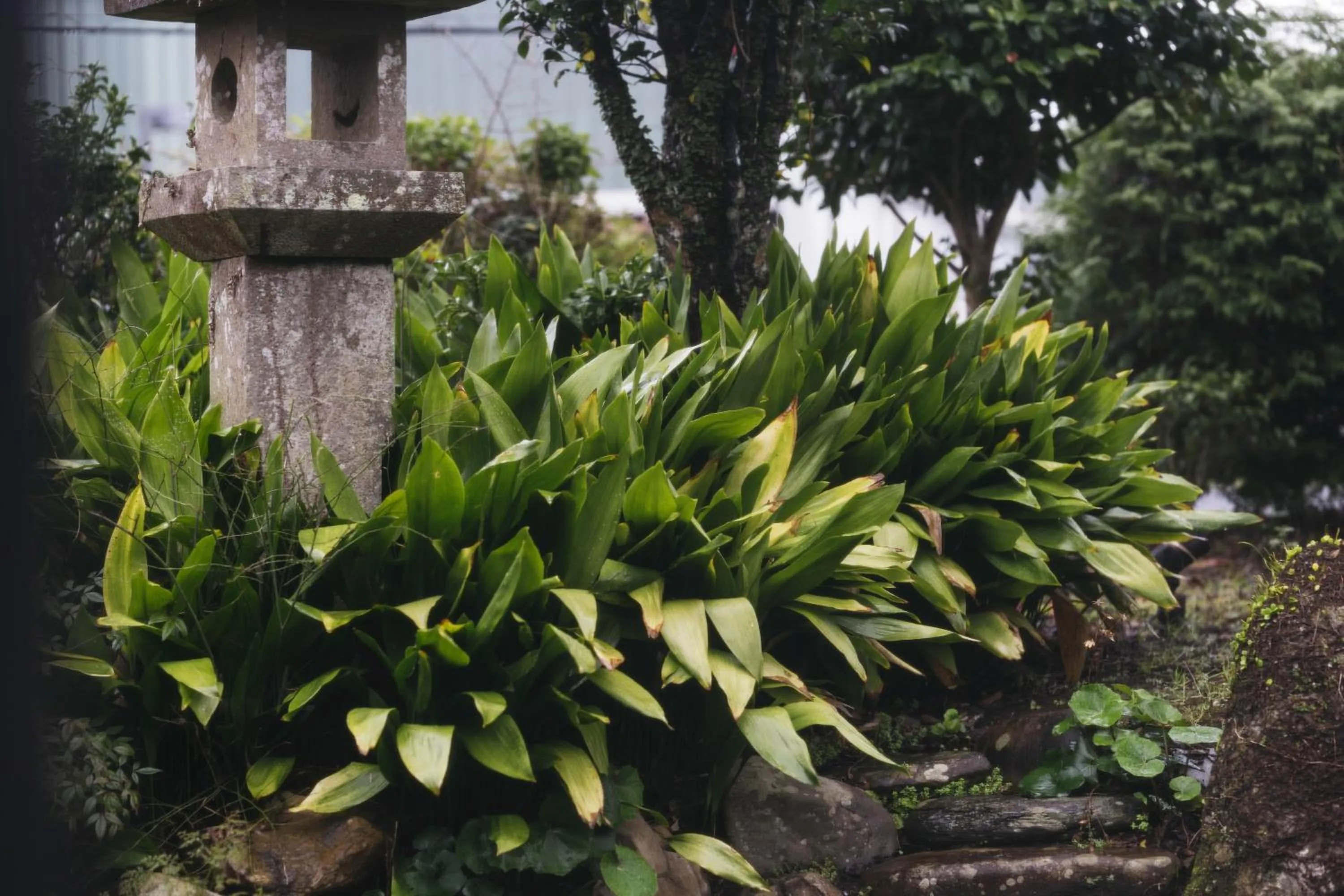 Decorative detail in PAAK Hotel
