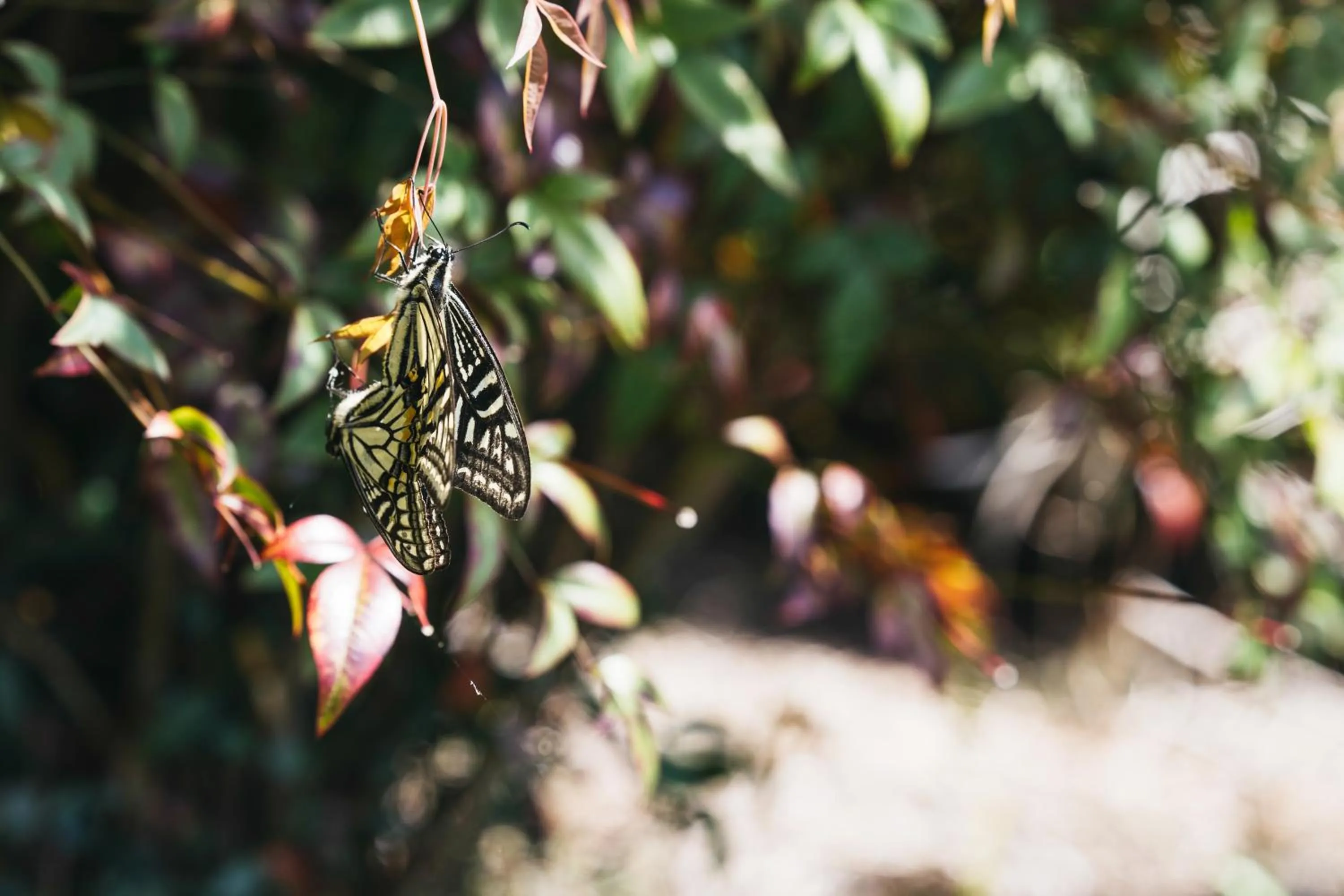 Decorative detail in PAAK Hotel