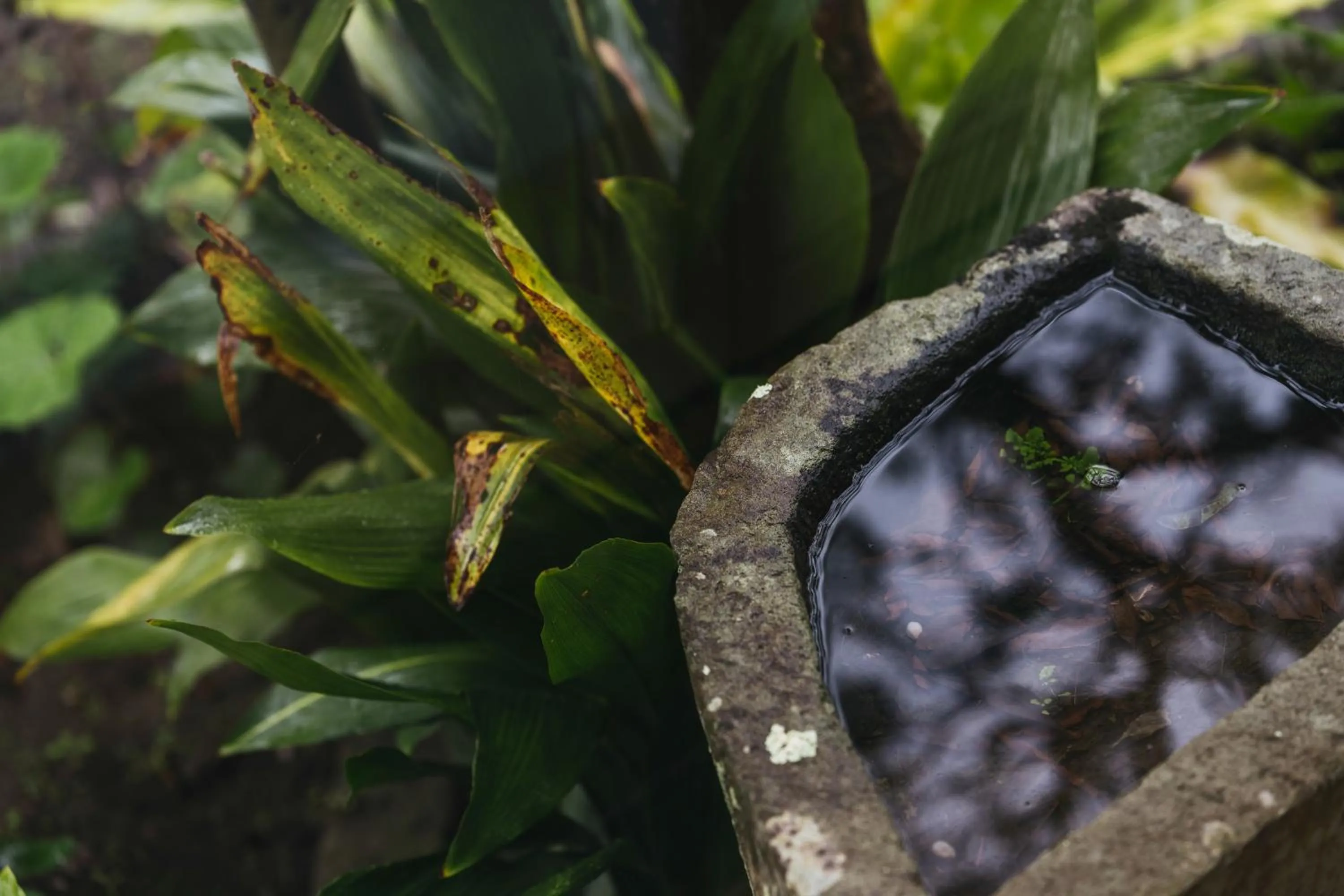 Decorative detail in PAAK Hotel