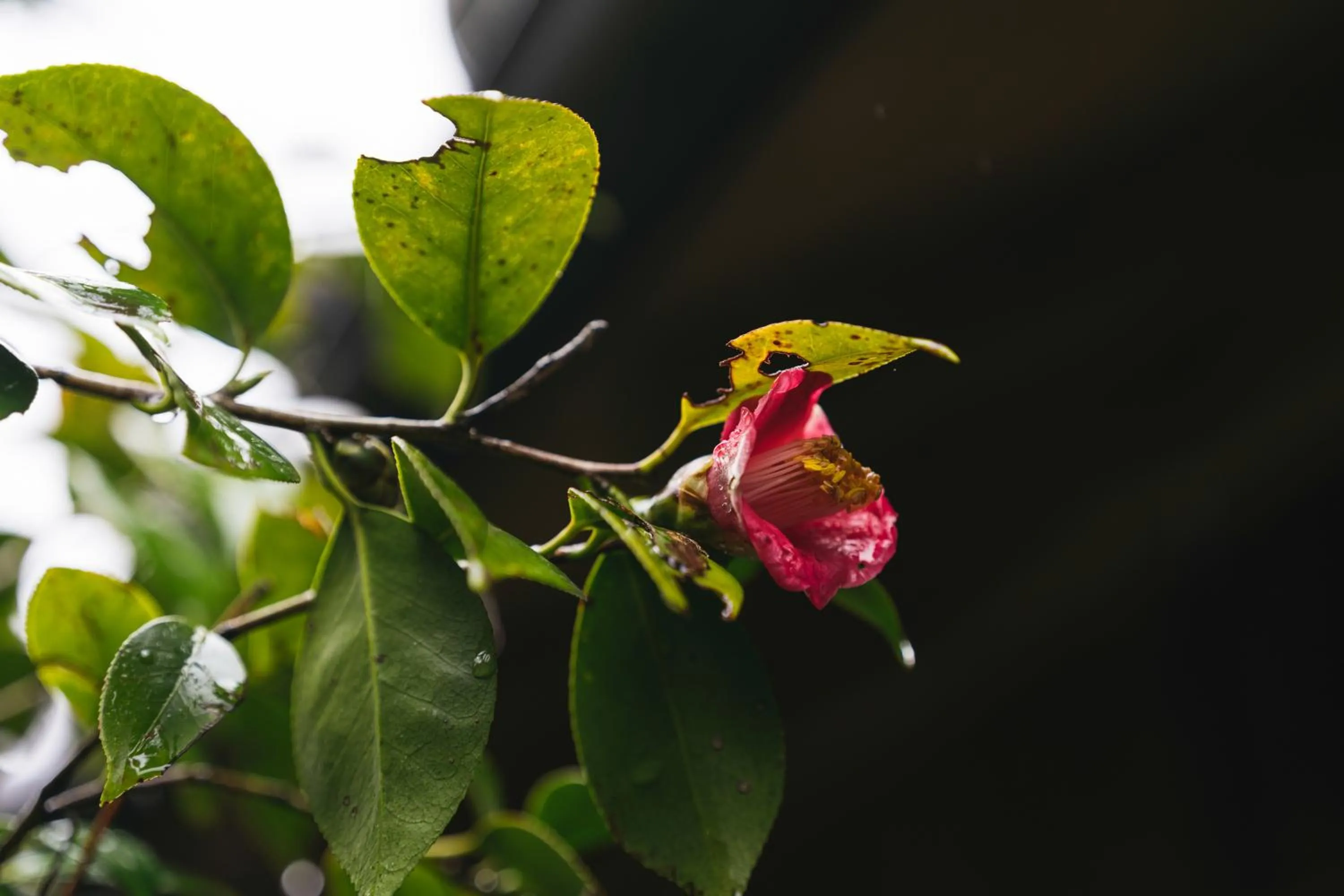 Decorative detail in PAAK Hotel
