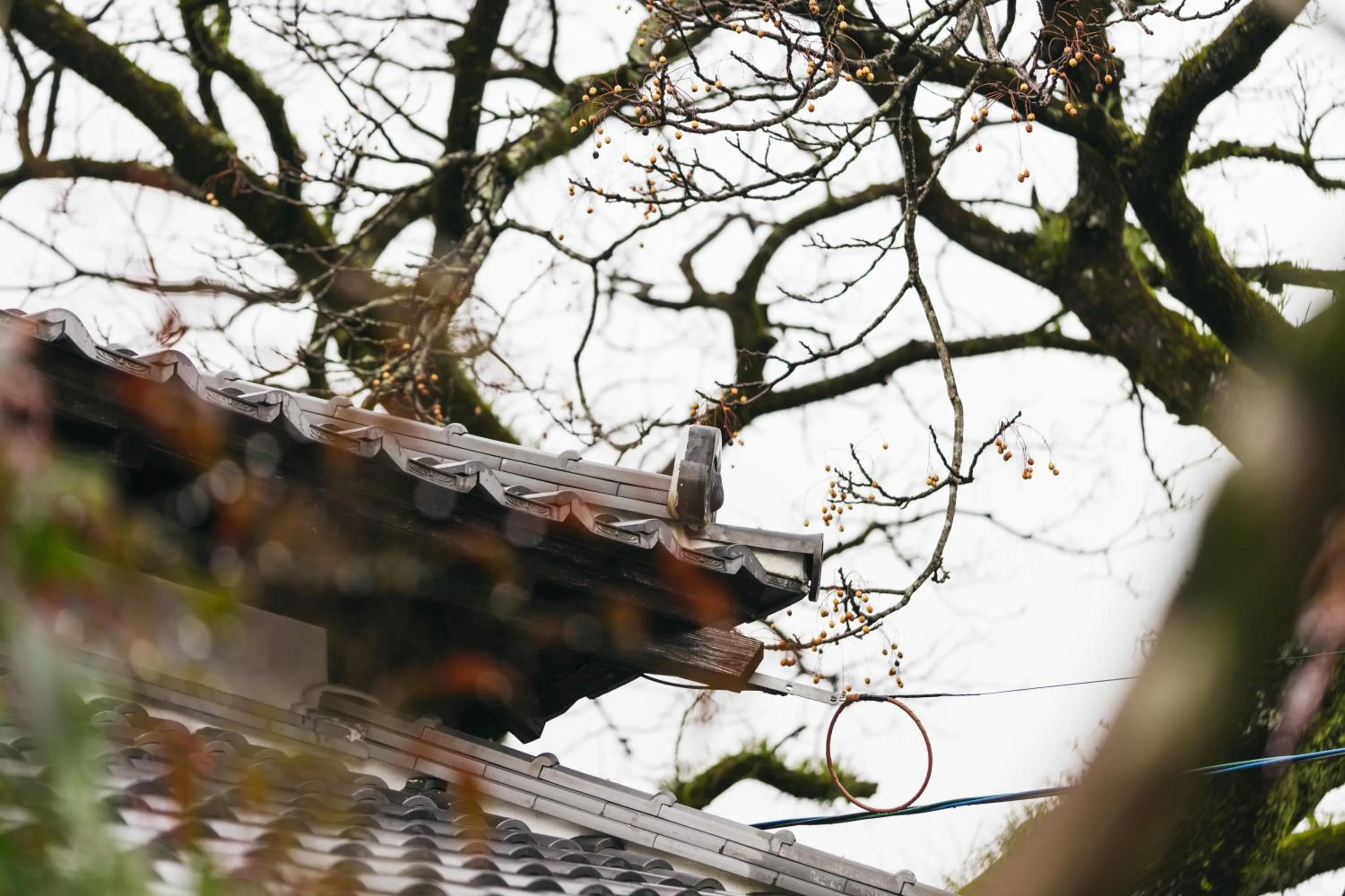 Decorative detail in PAAK Hotel