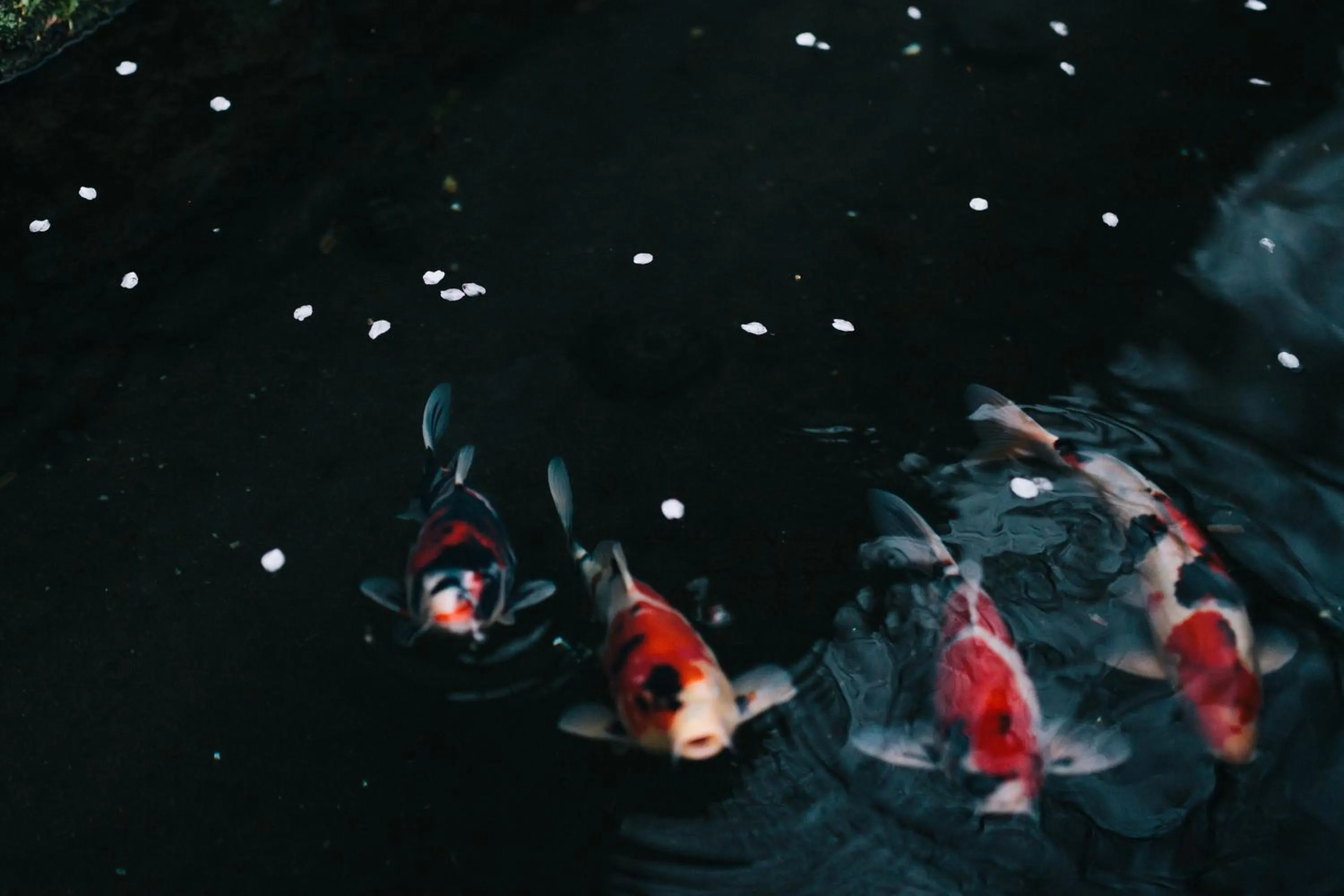 Nearby landmark in PAAK Hotel