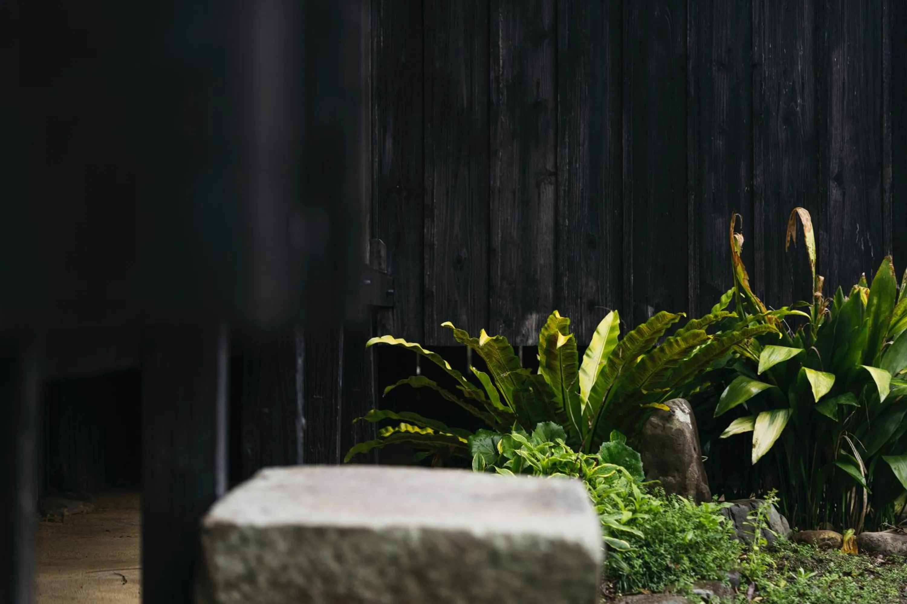 Decorative detail in PAAK Hotel