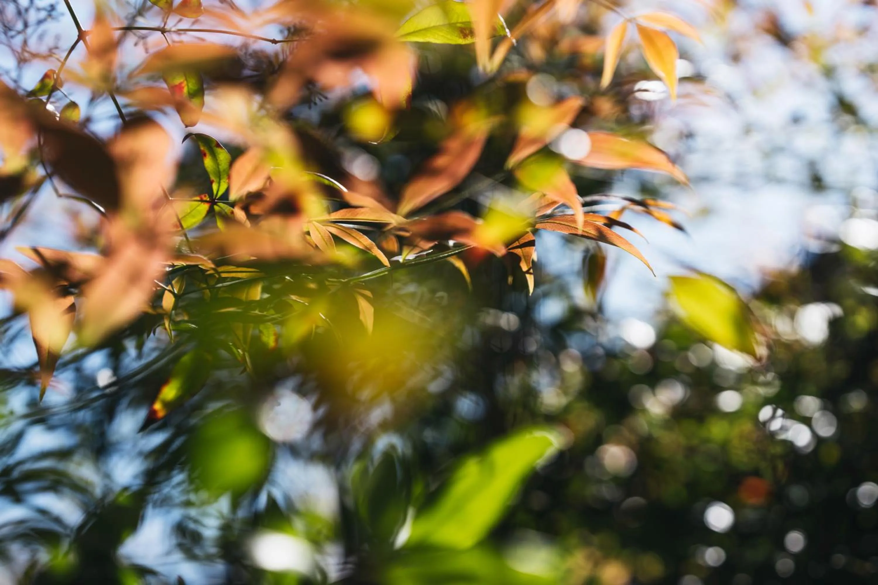 Decorative detail in PAAK Hotel