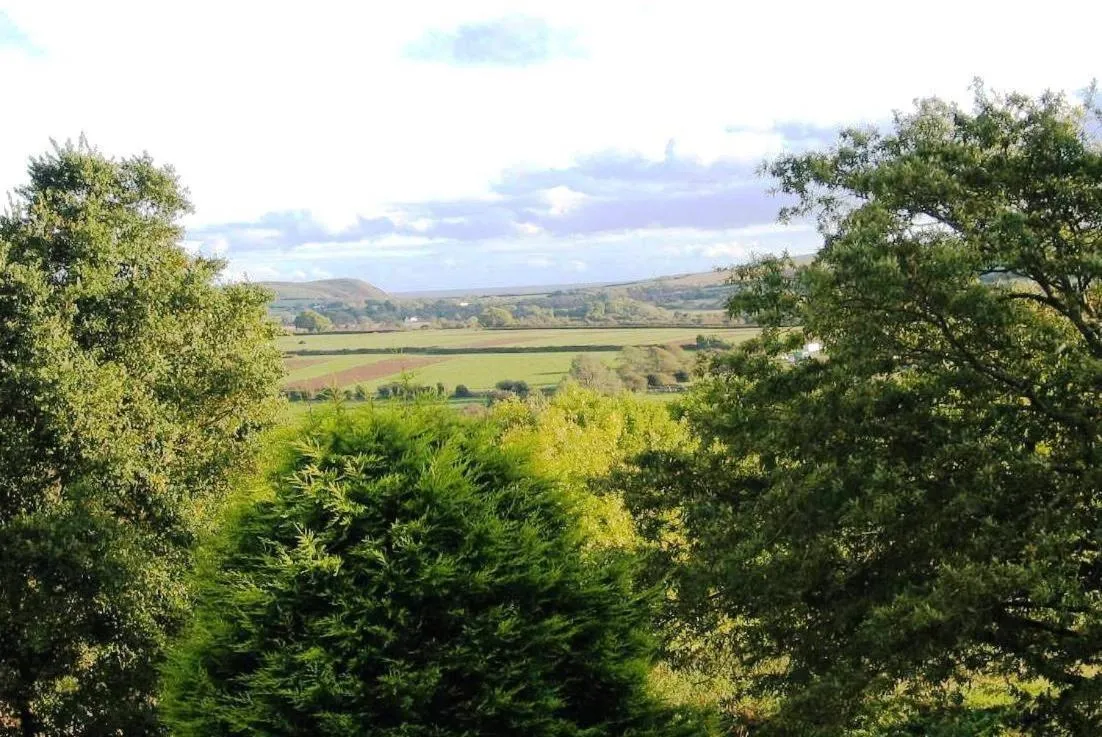 View (from property/room) in Lamphey Park