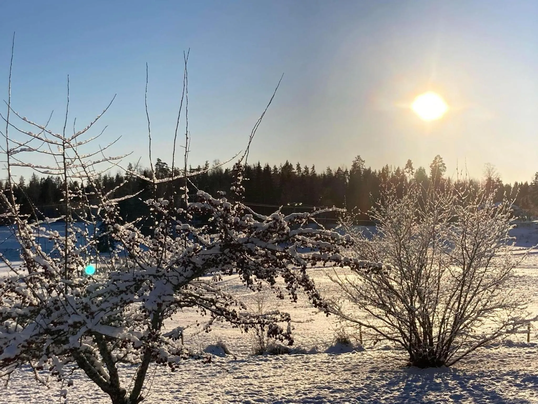 Natural landscape in Setons Stuga
