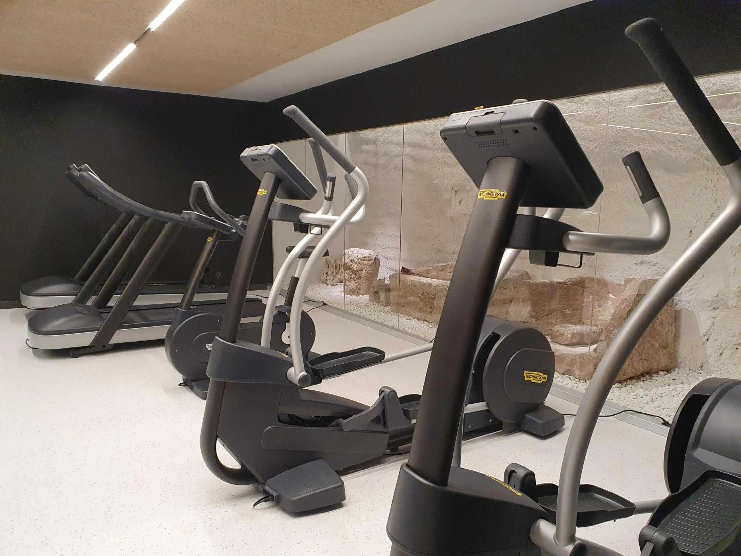 Fitness centre/facilities in Hotel Palacio La Marquesa 4 Estrellas SUP