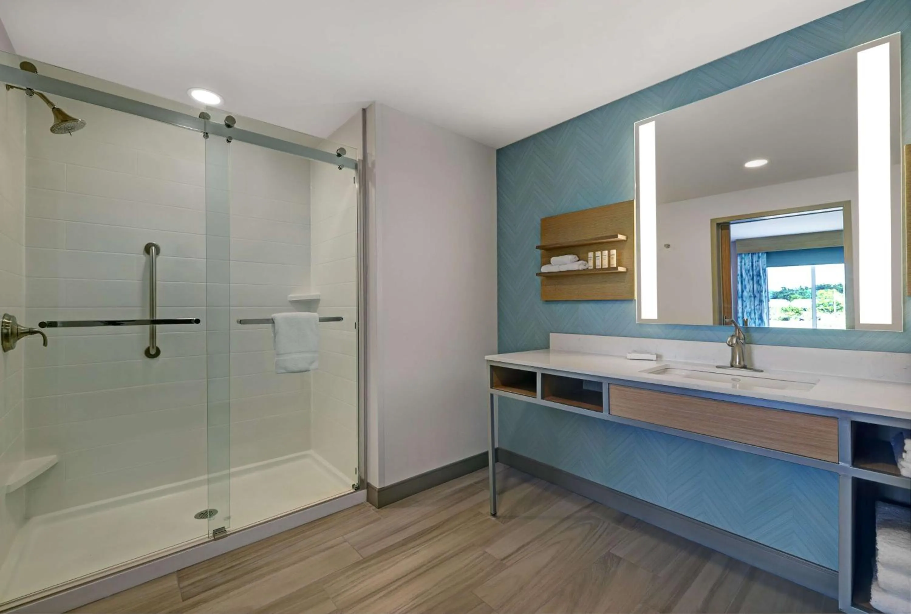 Bathroom in Hilton Garden Inn Manassas