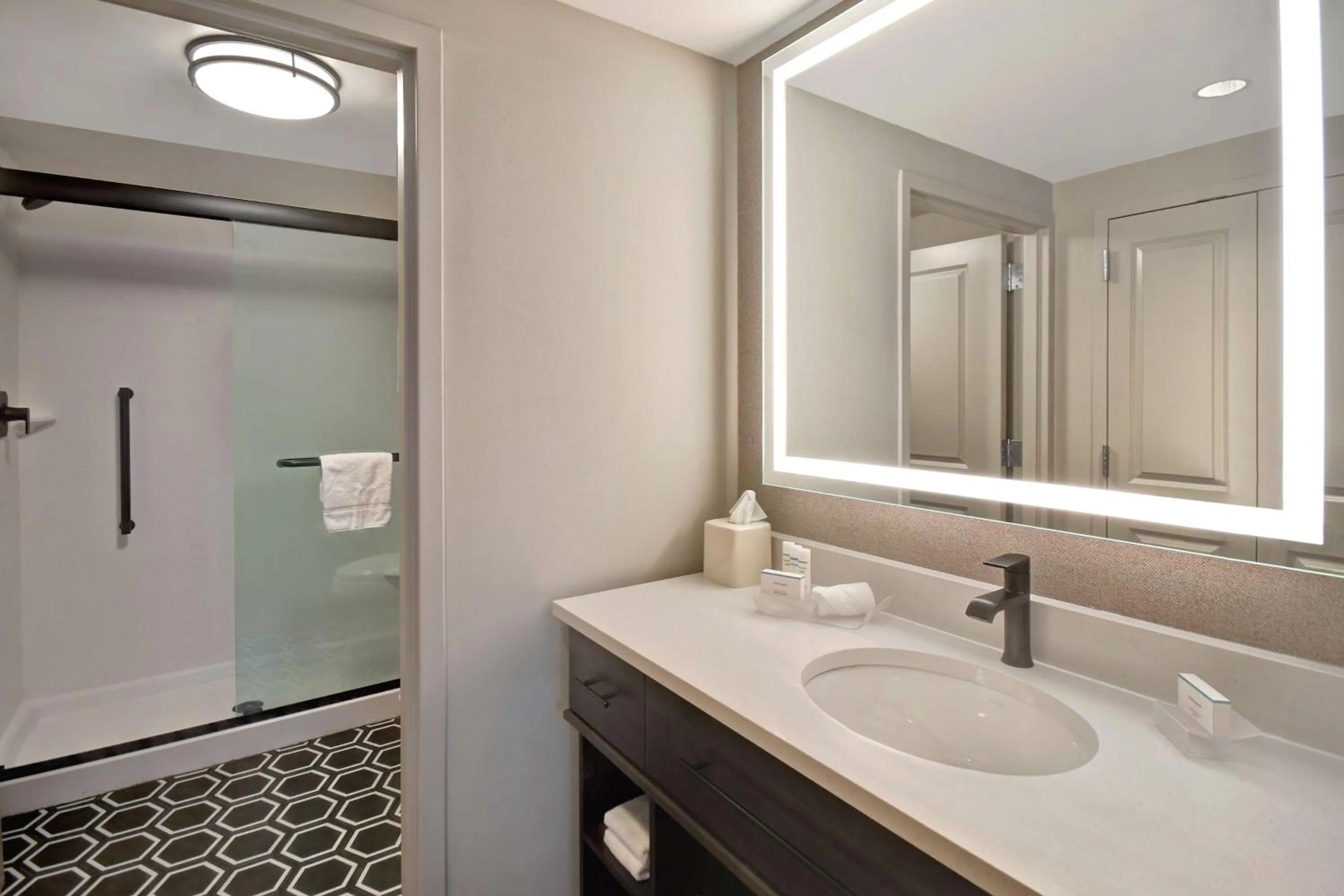 Bathroom in Homewood Suites by Hilton Tuscaloosa Downtown- Near Univ of Alabama