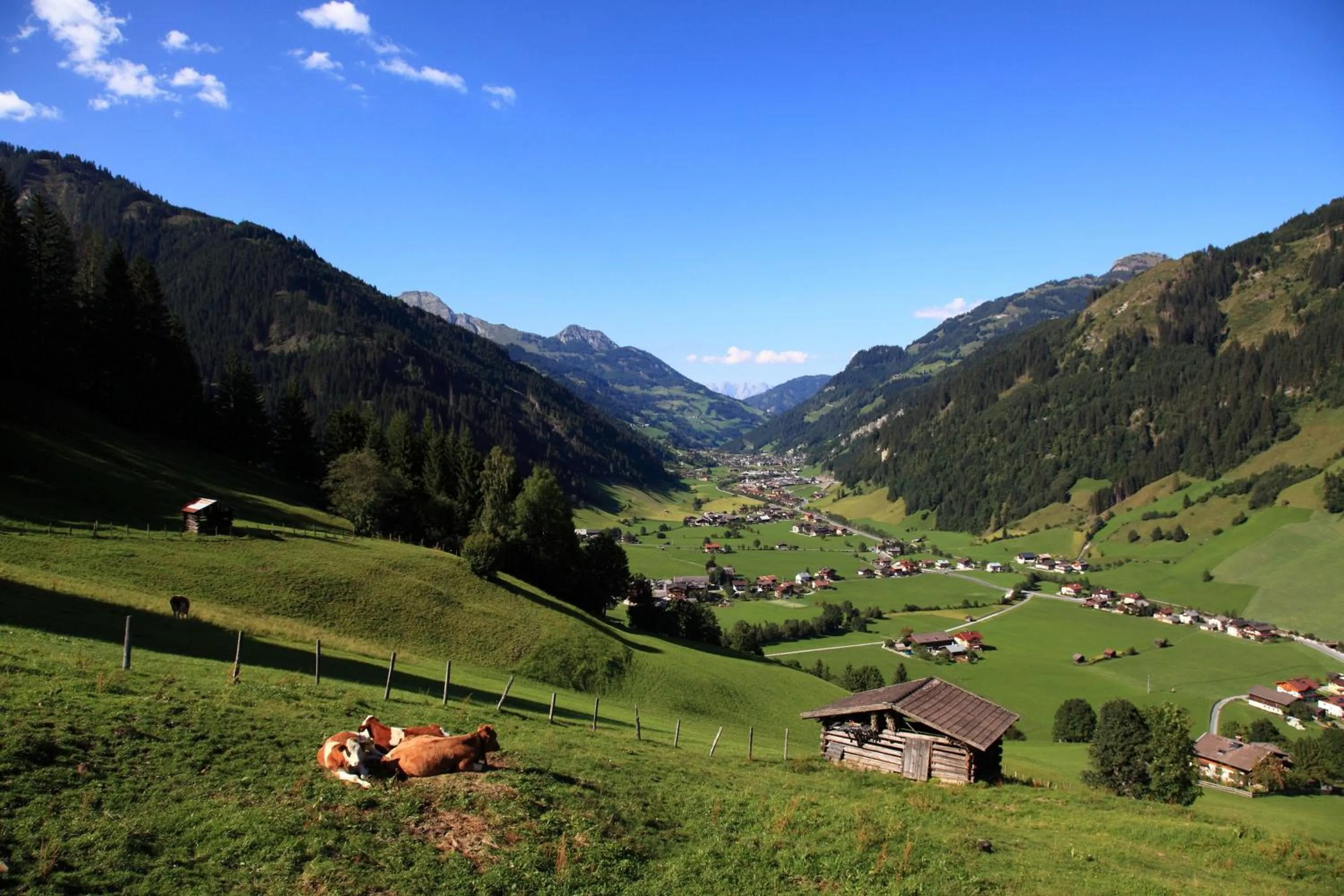 Natural landscape in Hotel Kristall
