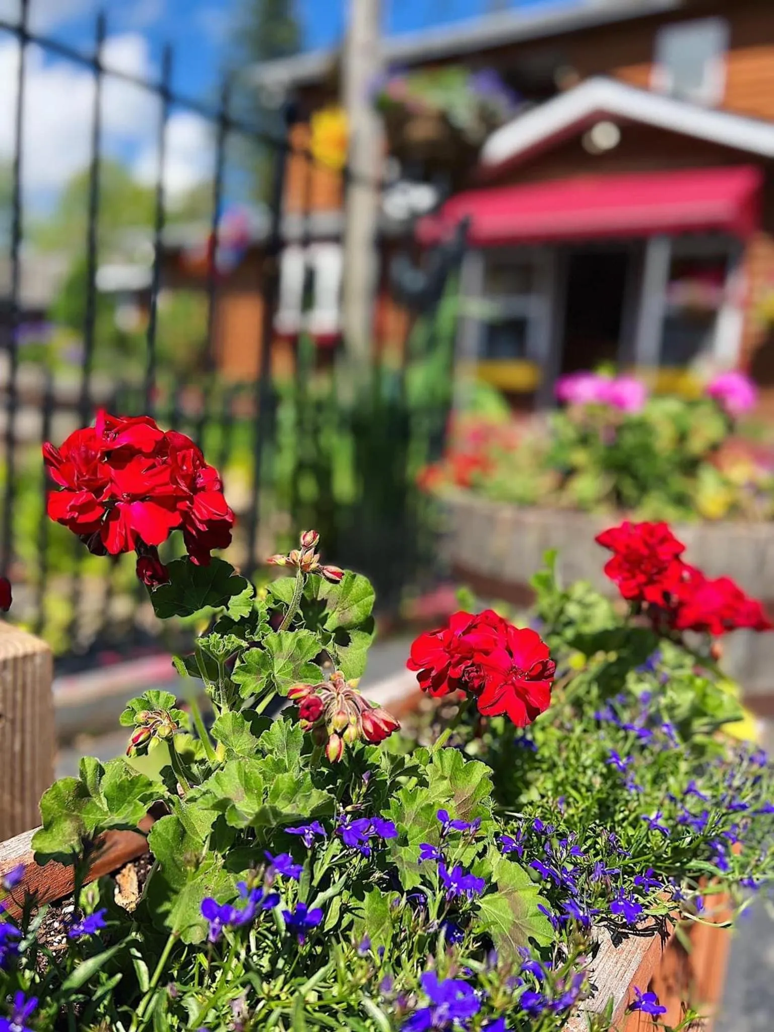 Homestead Inn - Blowing Rock