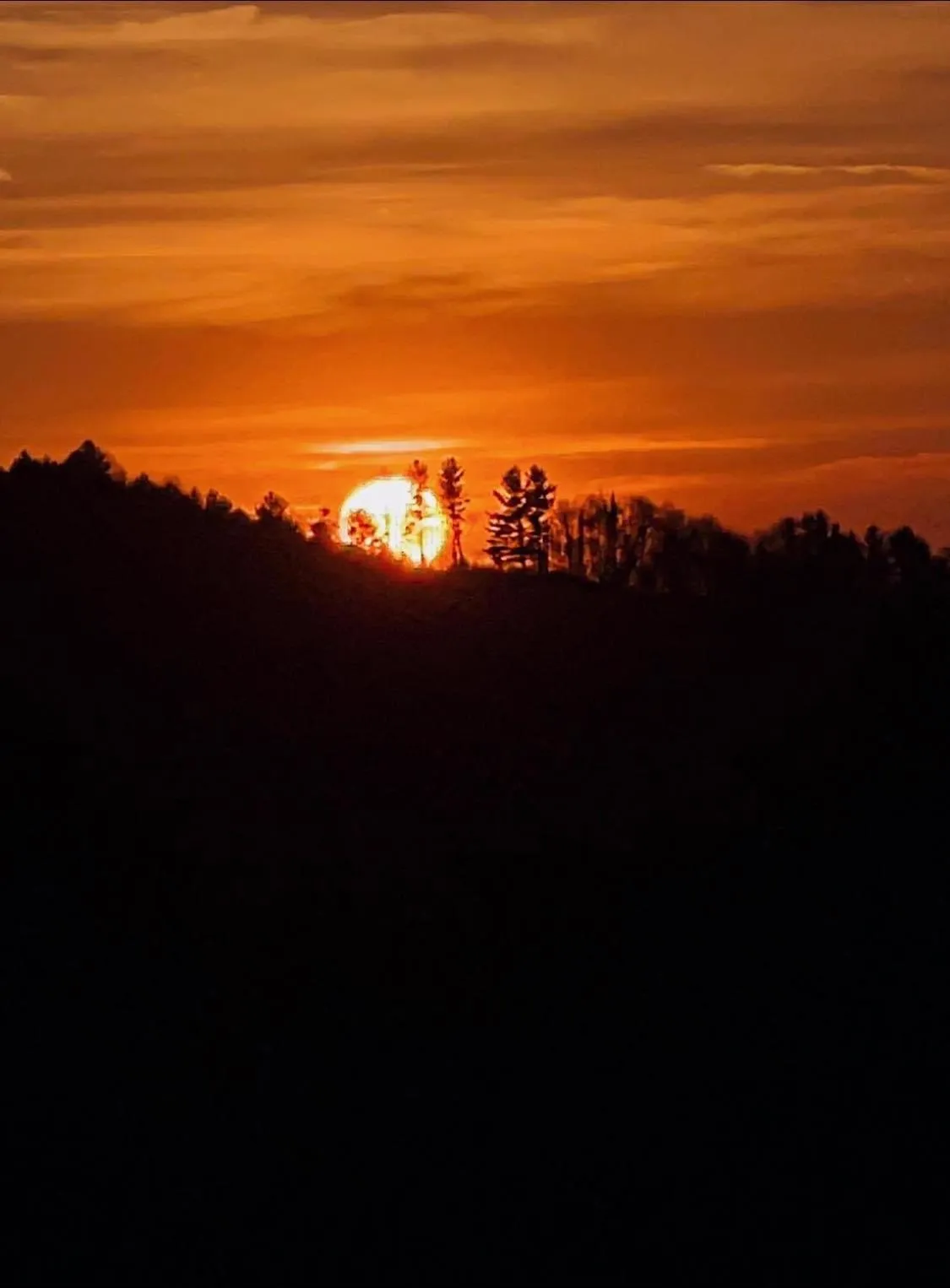 Homestead Inn - Blowing Rock
