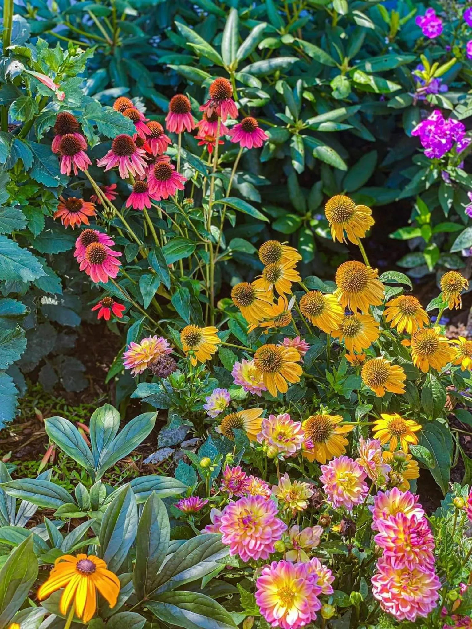 Homestead Inn - Blowing Rock