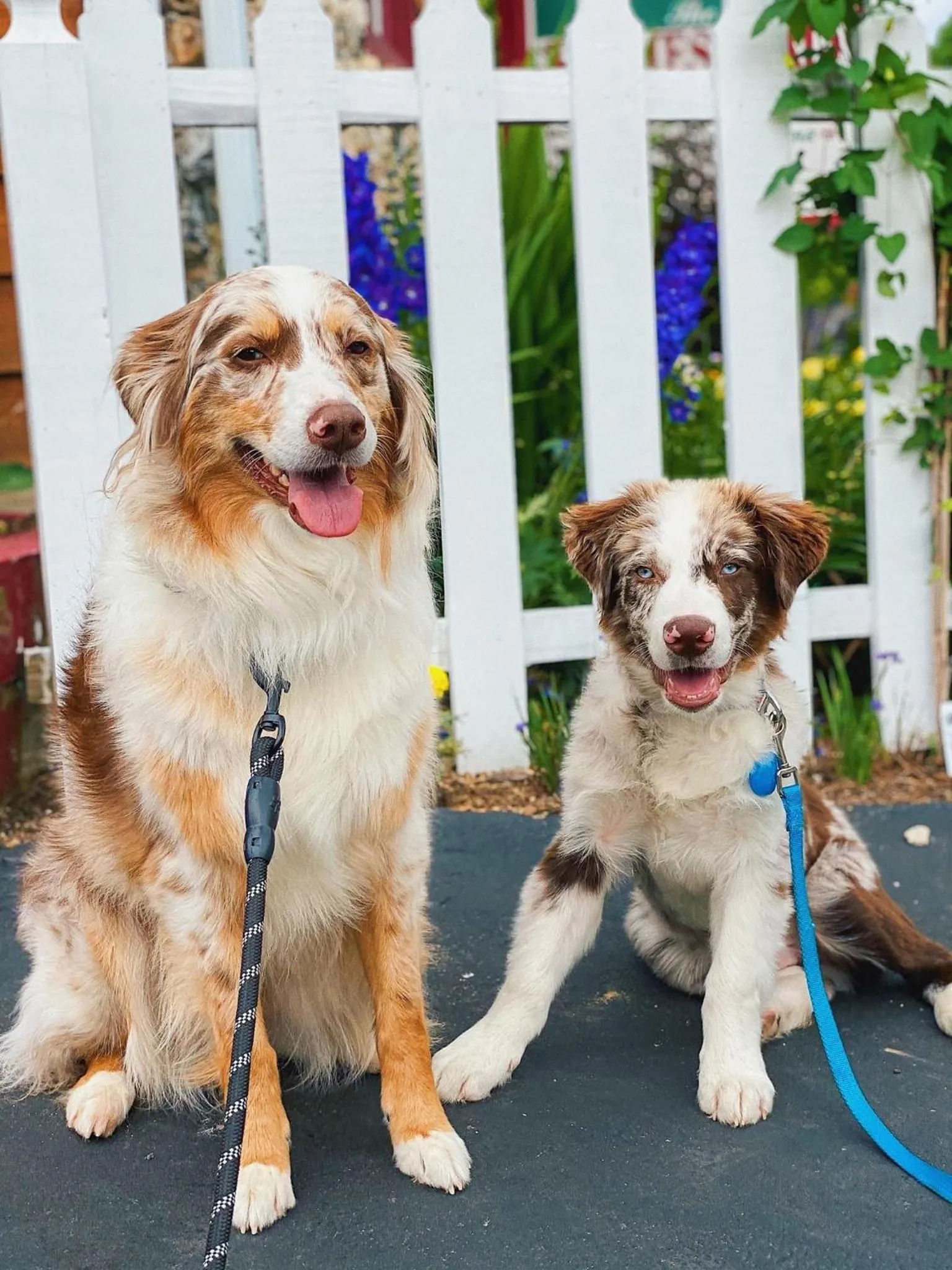Homestead Inn - Blowing Rock