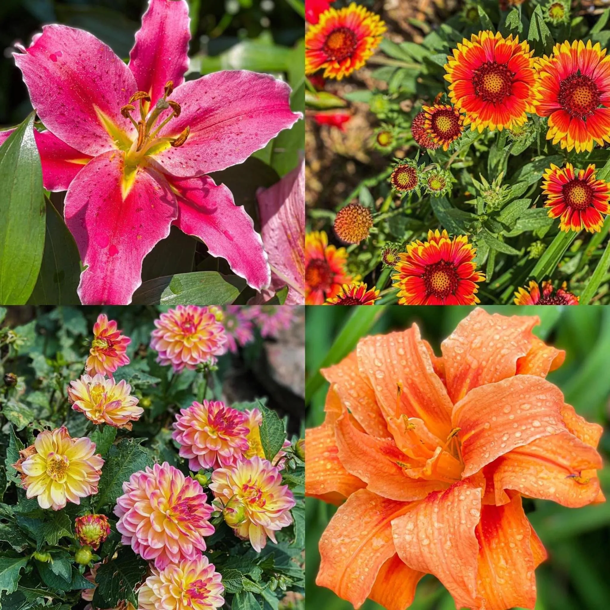 Homestead Inn - Blowing Rock