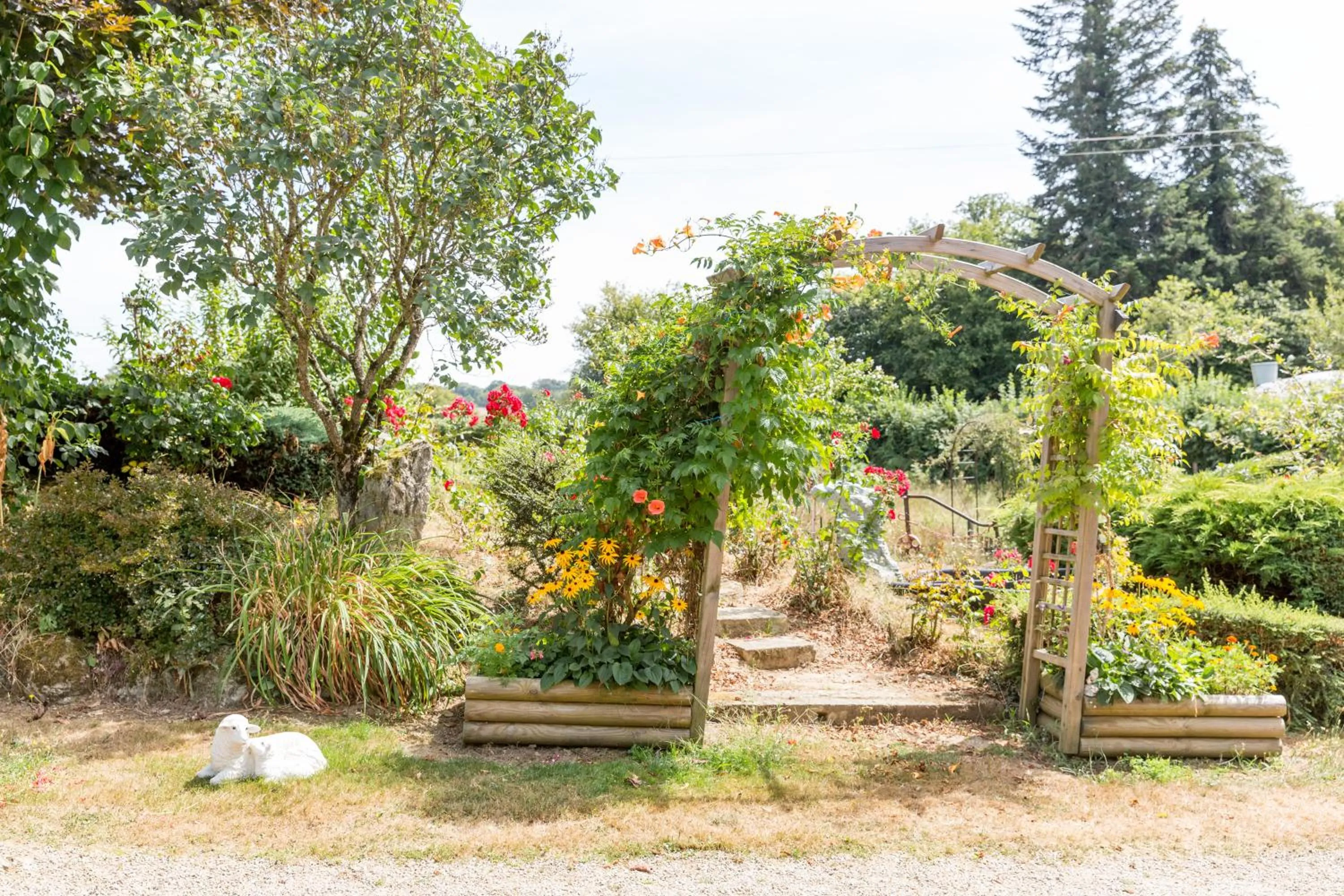Garden in Chambres et table d'hôtes Floromel La Souterraine en rez de chaussee