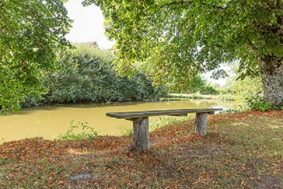 Natural landscape in Chambres et table d'hôtes Floromel La Souterraine en rez de chaussee