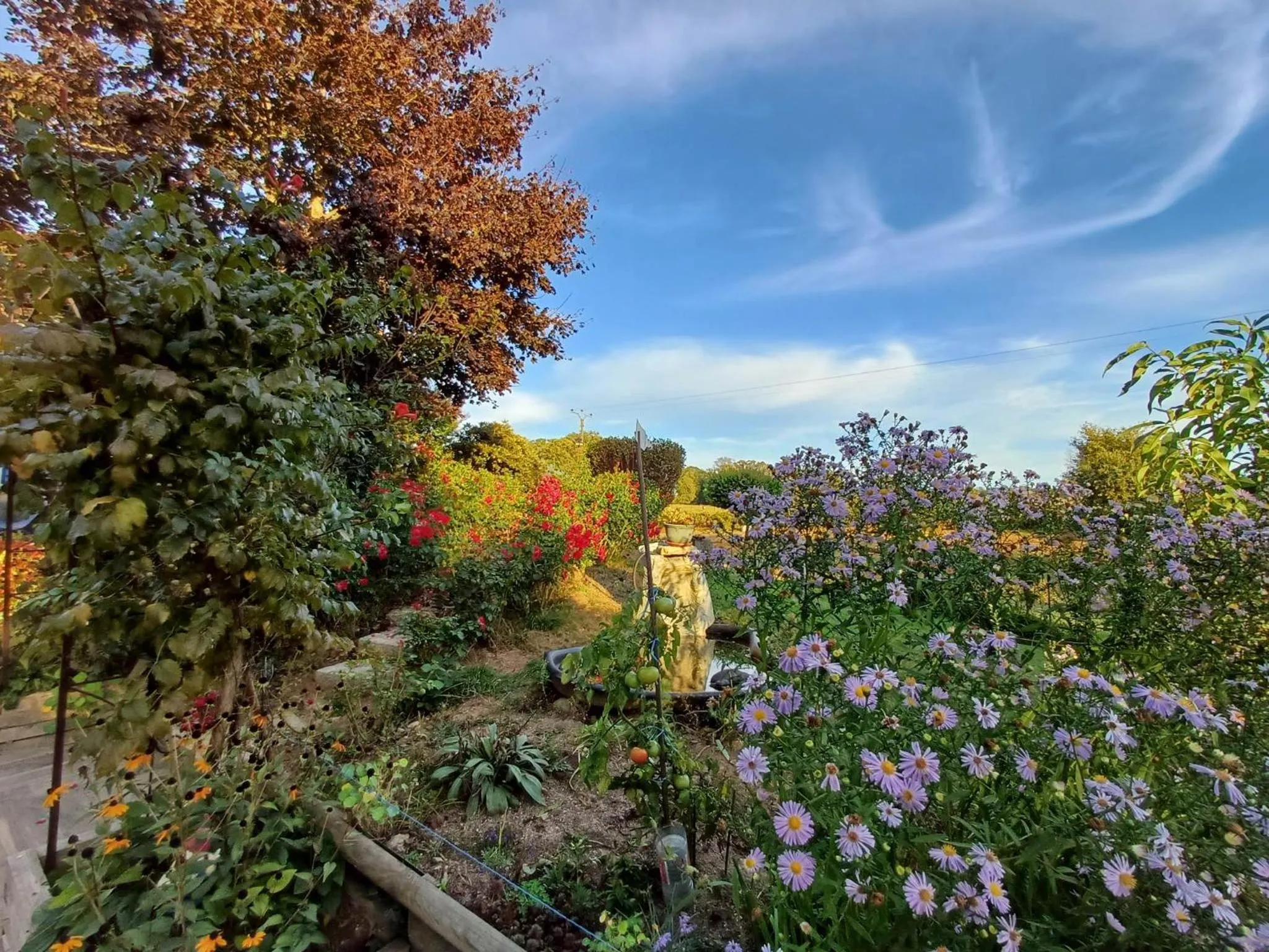 Garden in Chambres et table d'hôtes Floromel La Souterraine en rez de chaussee
