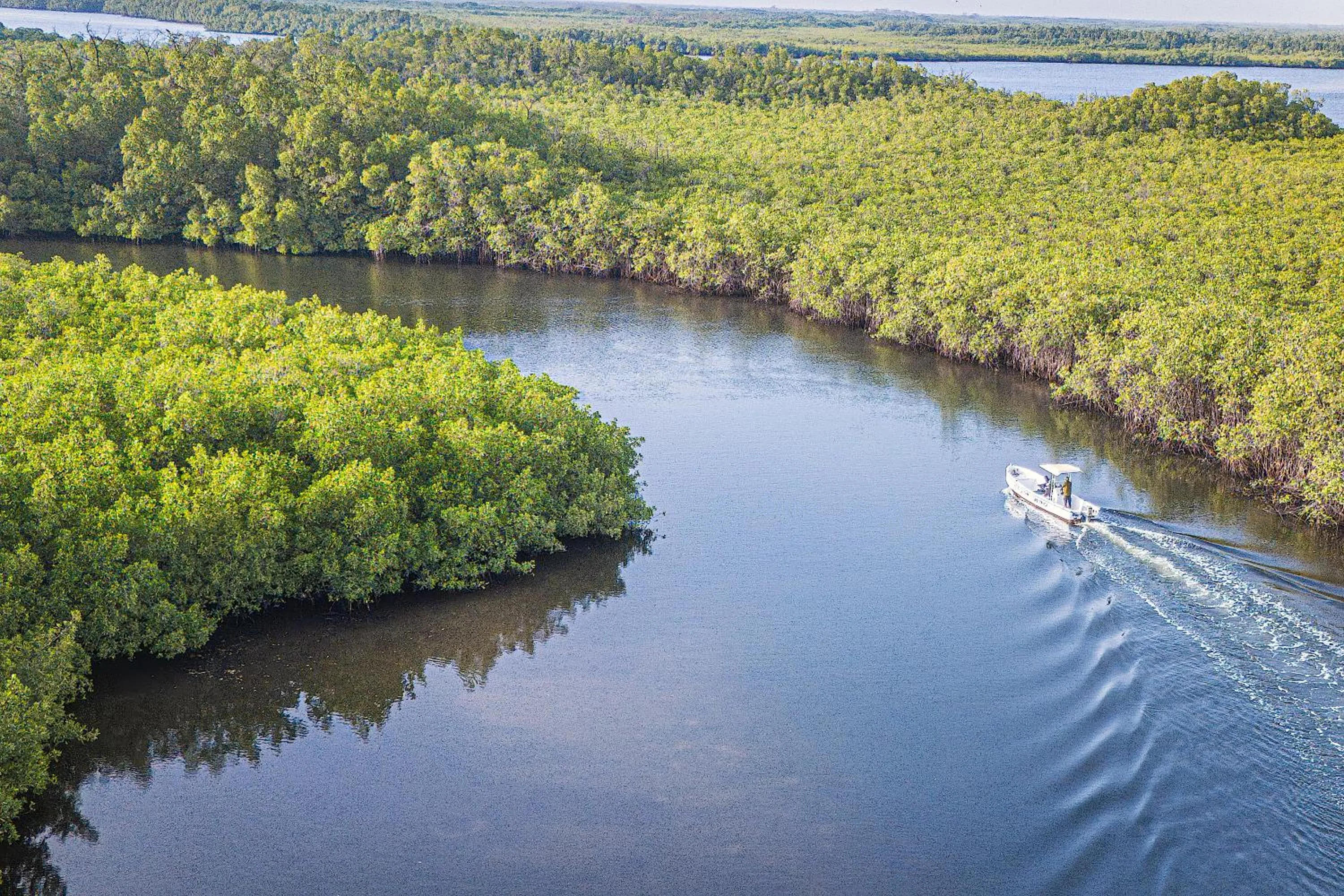 Activities in Keur Saloum Resort