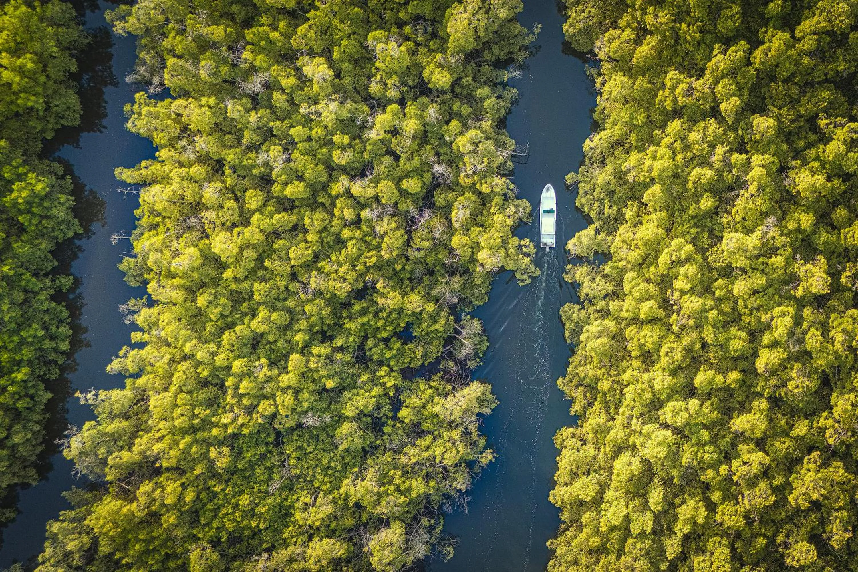 Natural landscape in Keur Saloum Resort