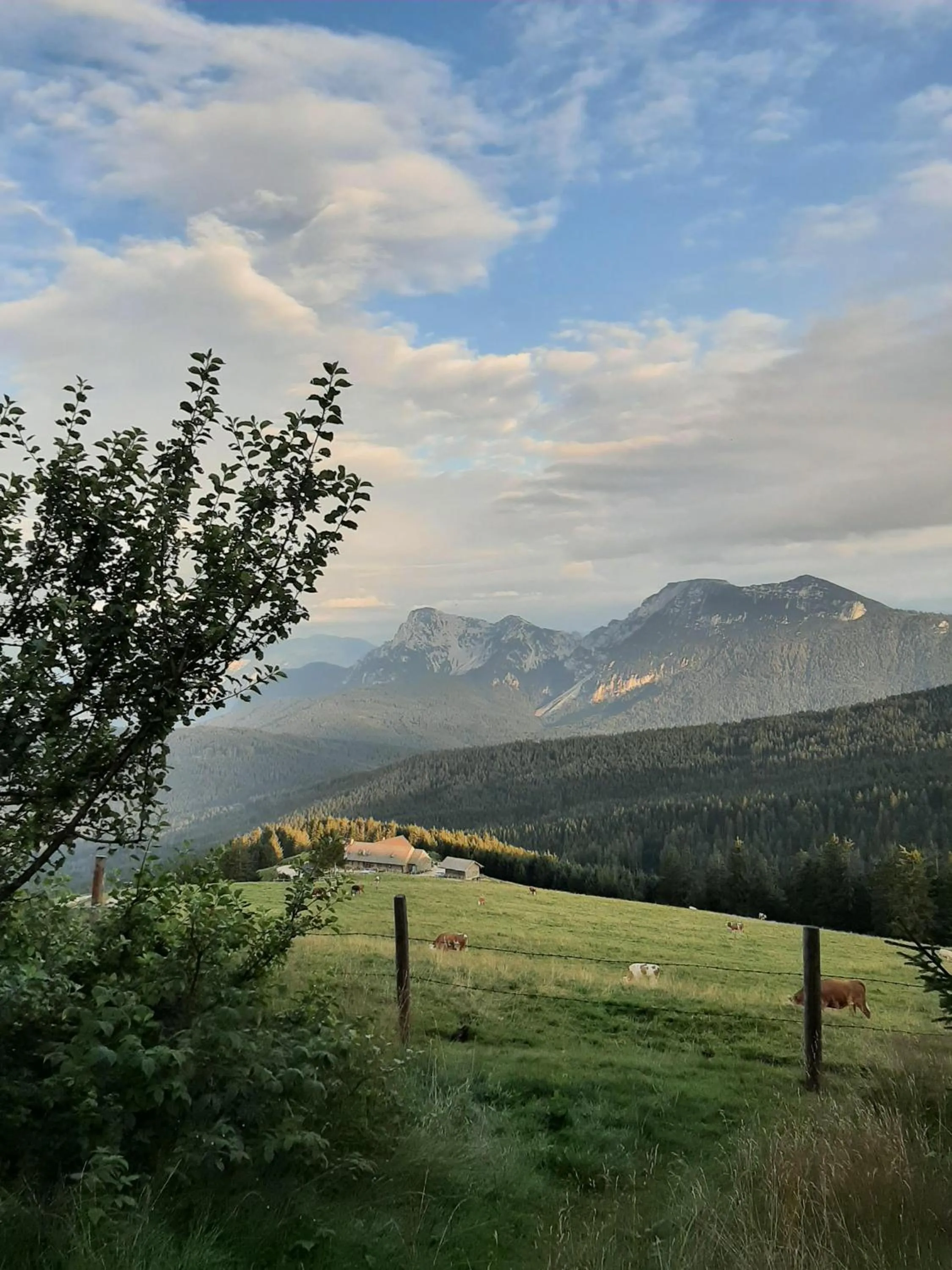 Stöcklhof