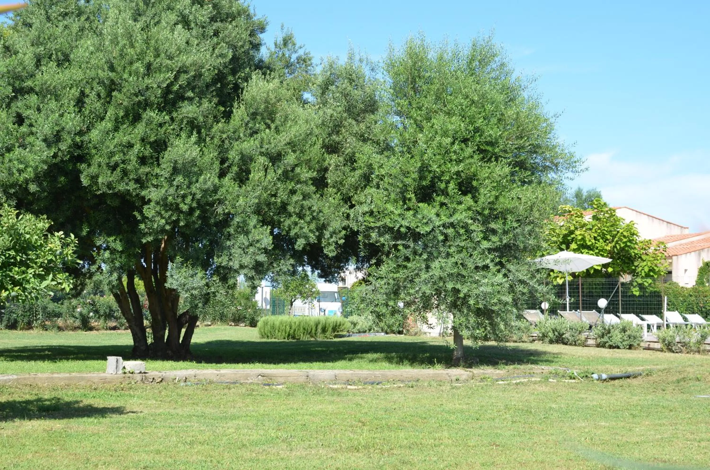 Garden in Villa Teti - Sicilia