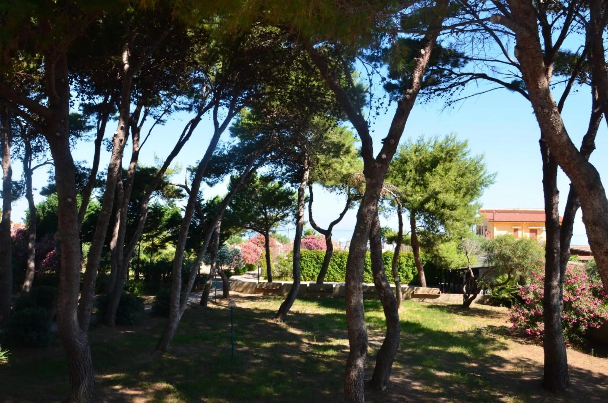 Garden in Villa Teti - Sicilia