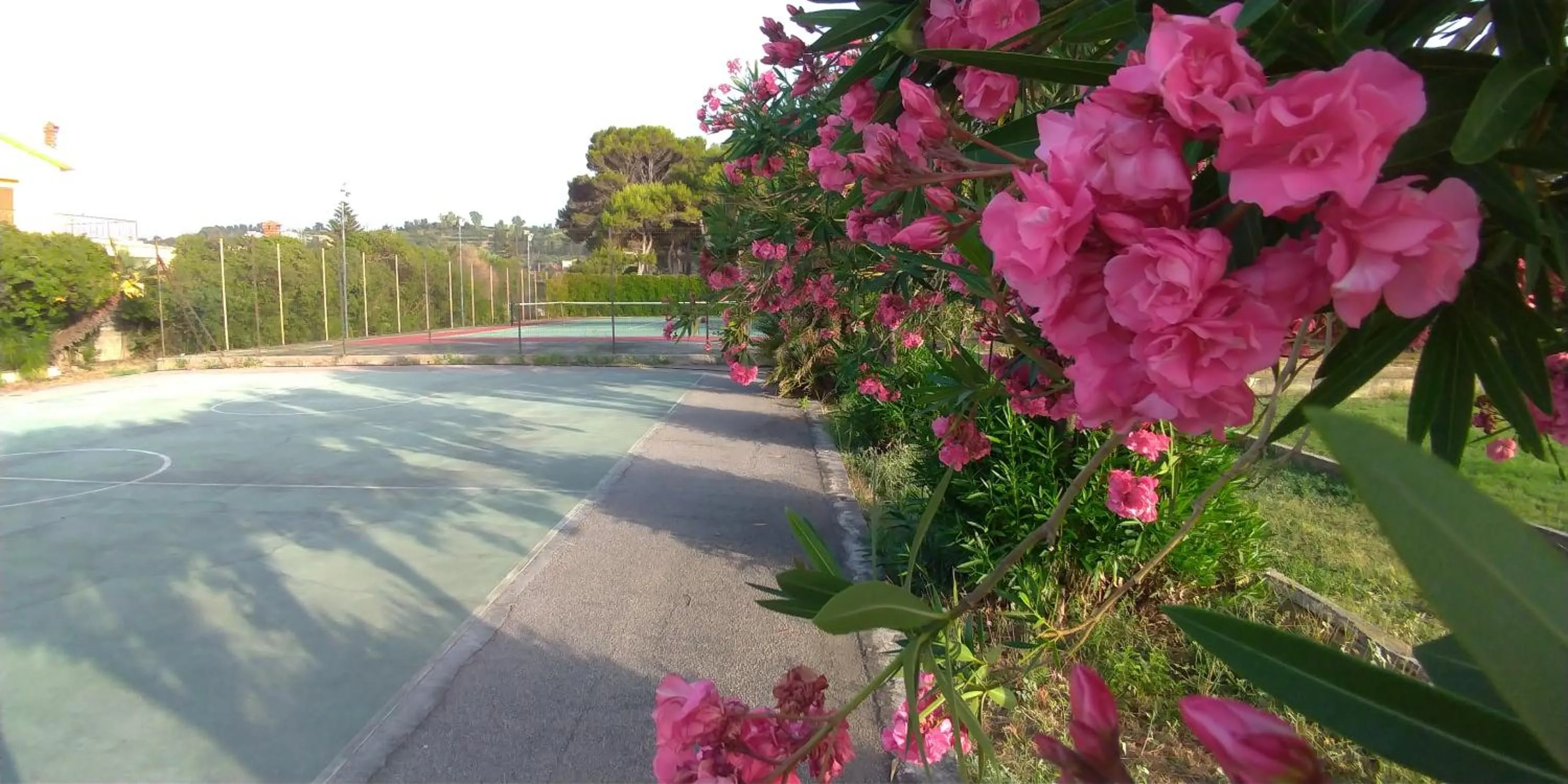 City view in Villa Teti - Sicilia