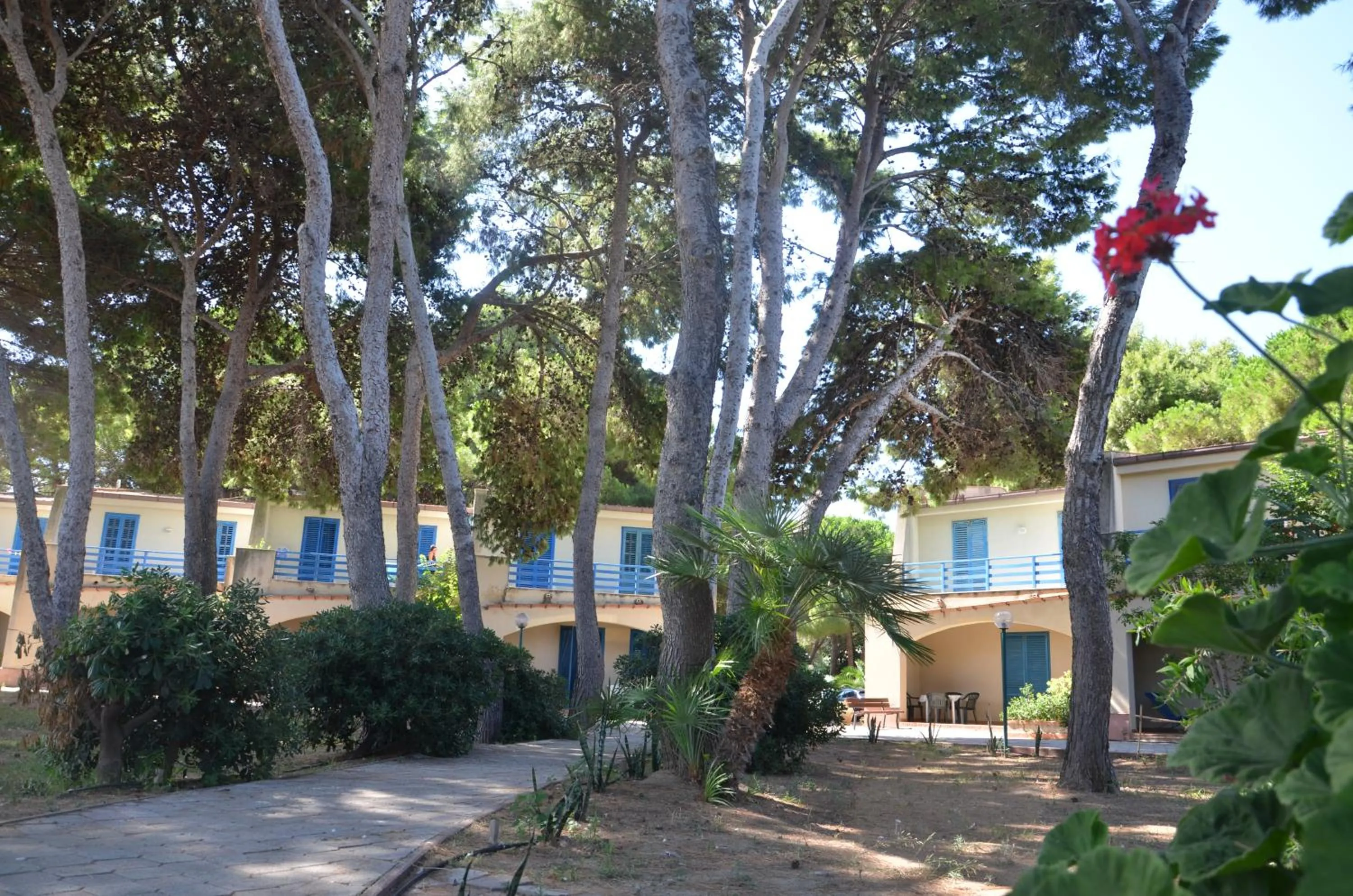 Garden in Villa Teti - Sicilia