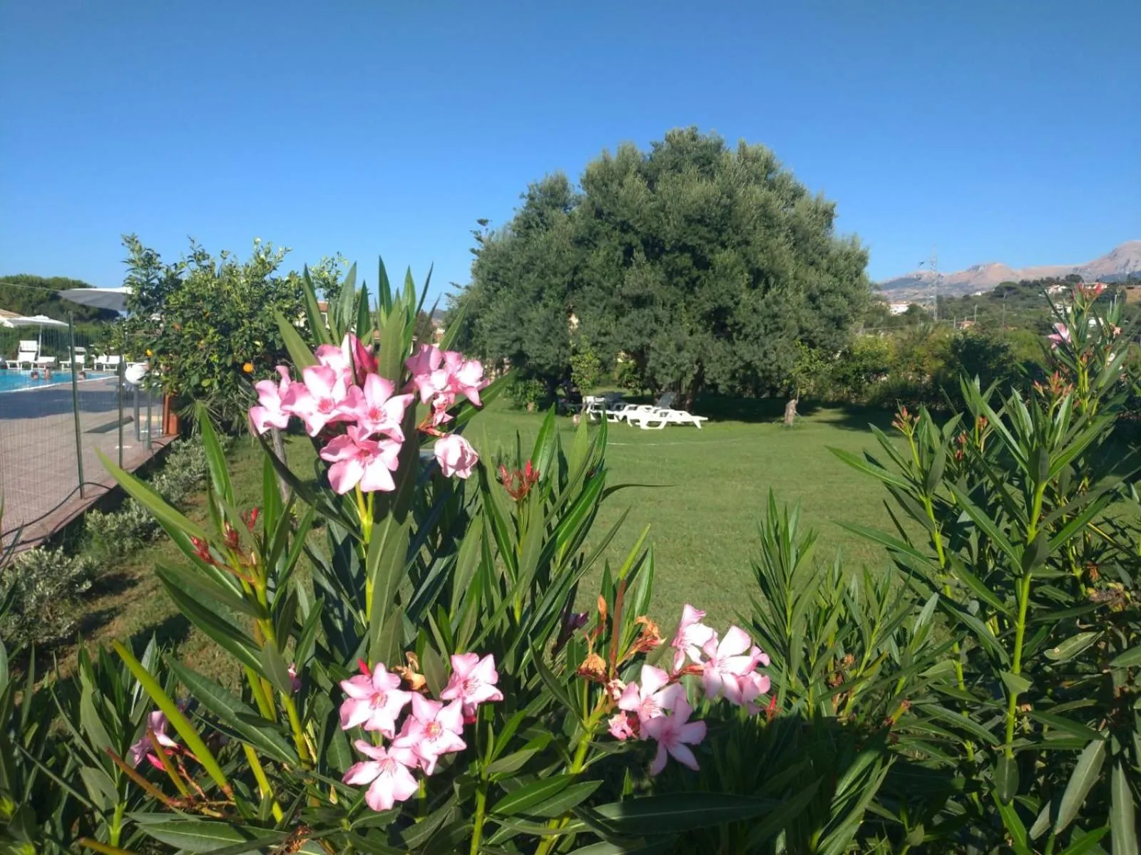 Garden in Villa Teti - Sicilia