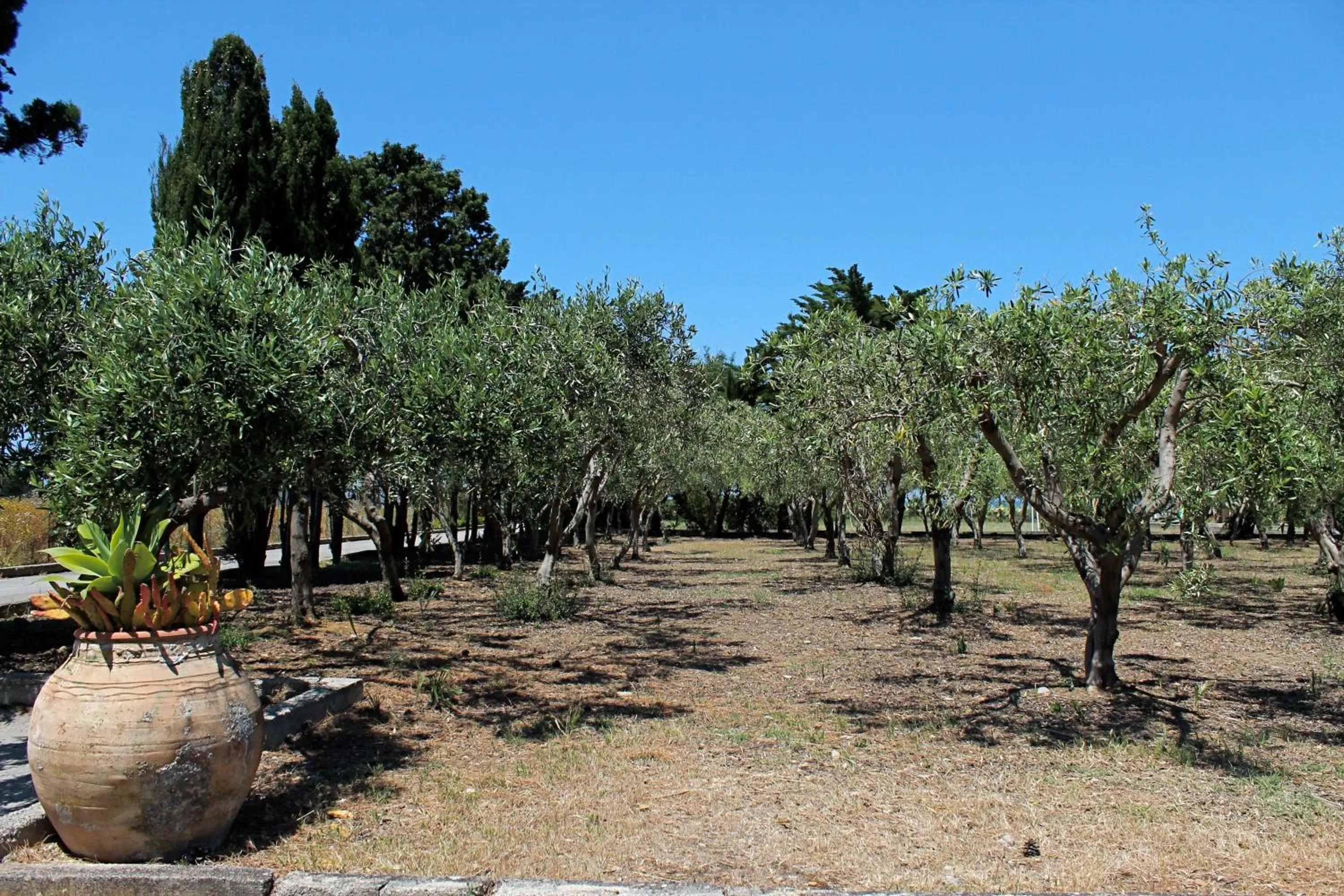Garden in Villa Teti - Sicilia