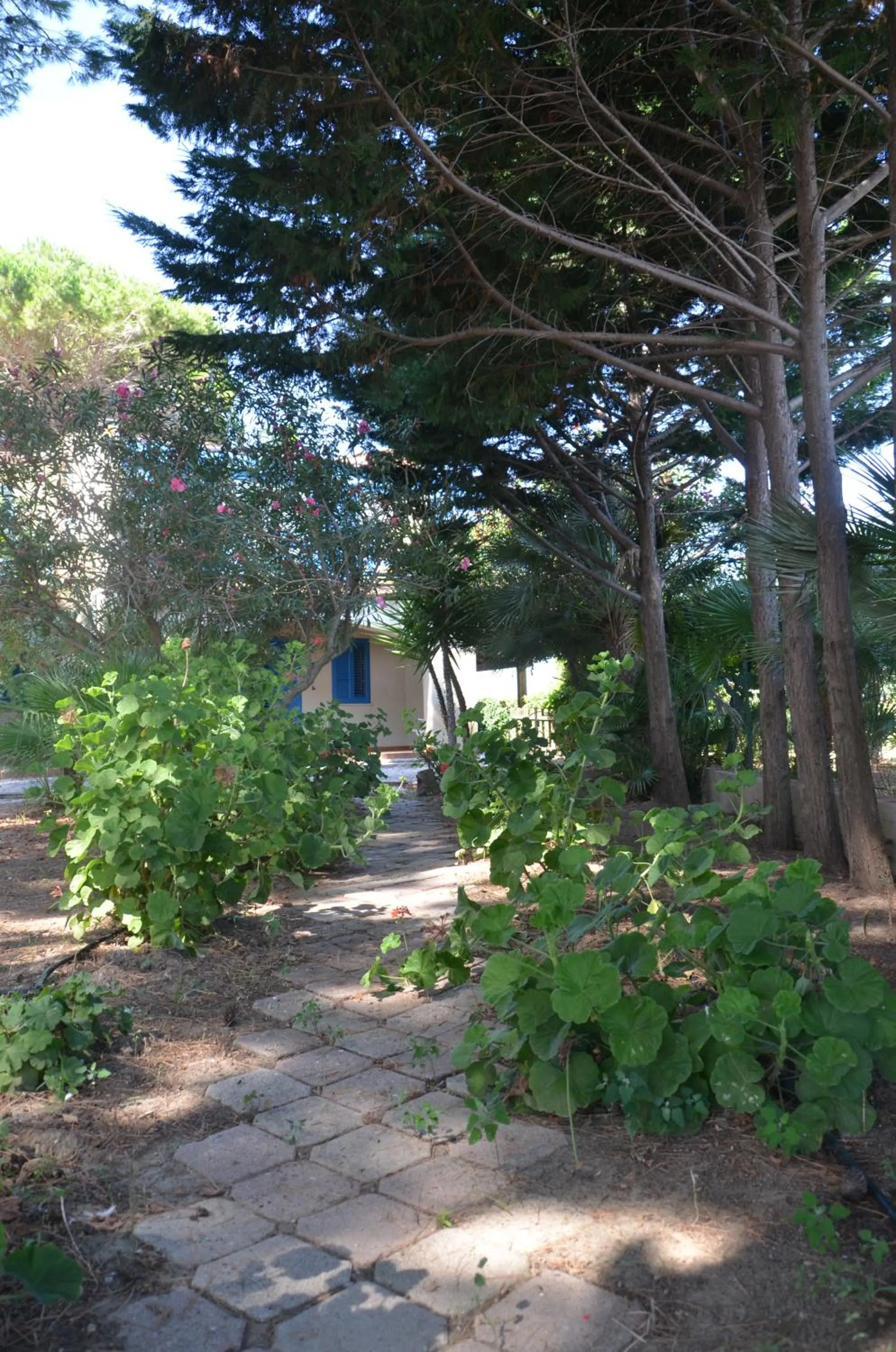 Garden in Villa Teti - Sicilia