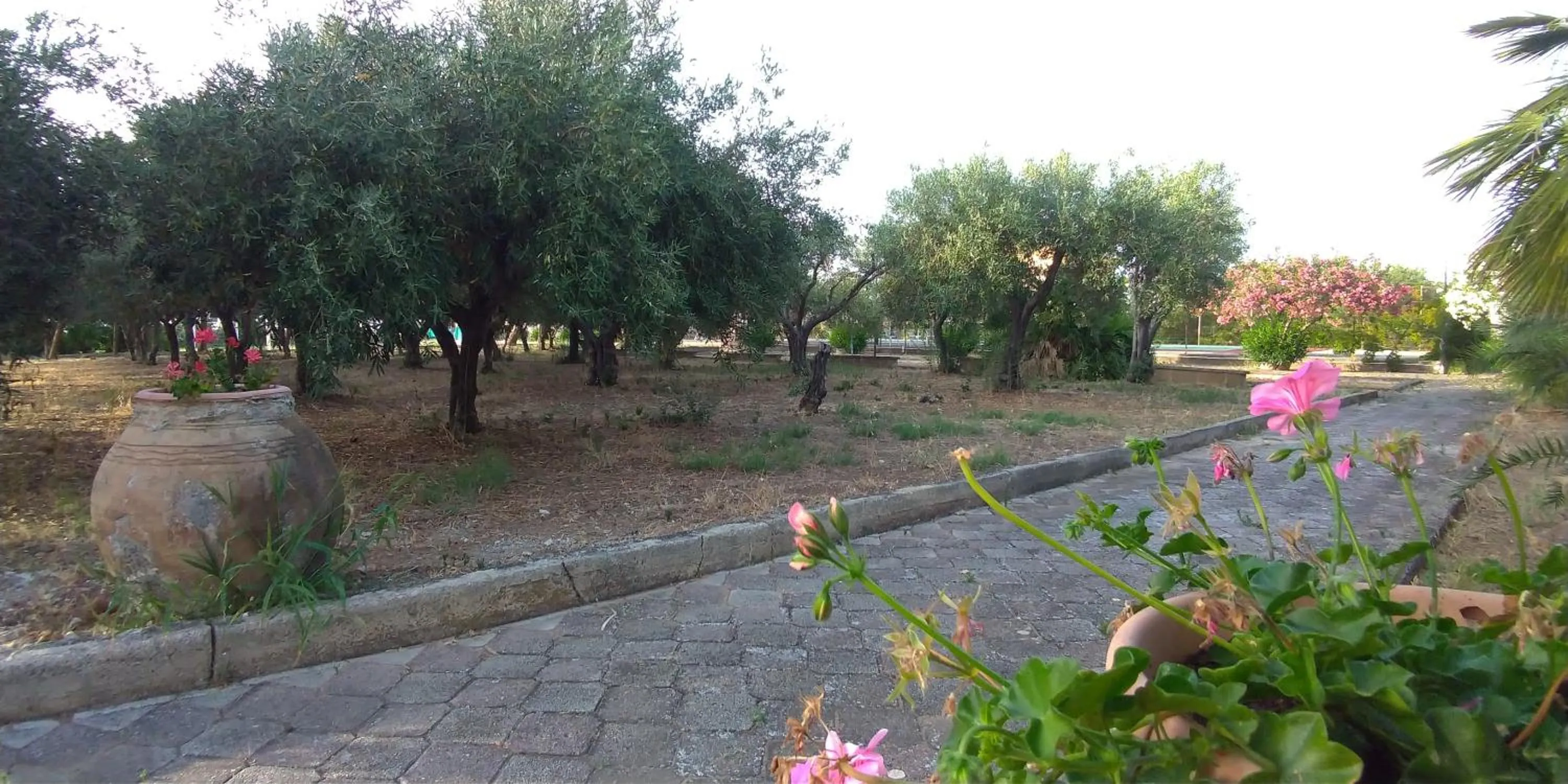 Garden in Villa Teti - Sicilia