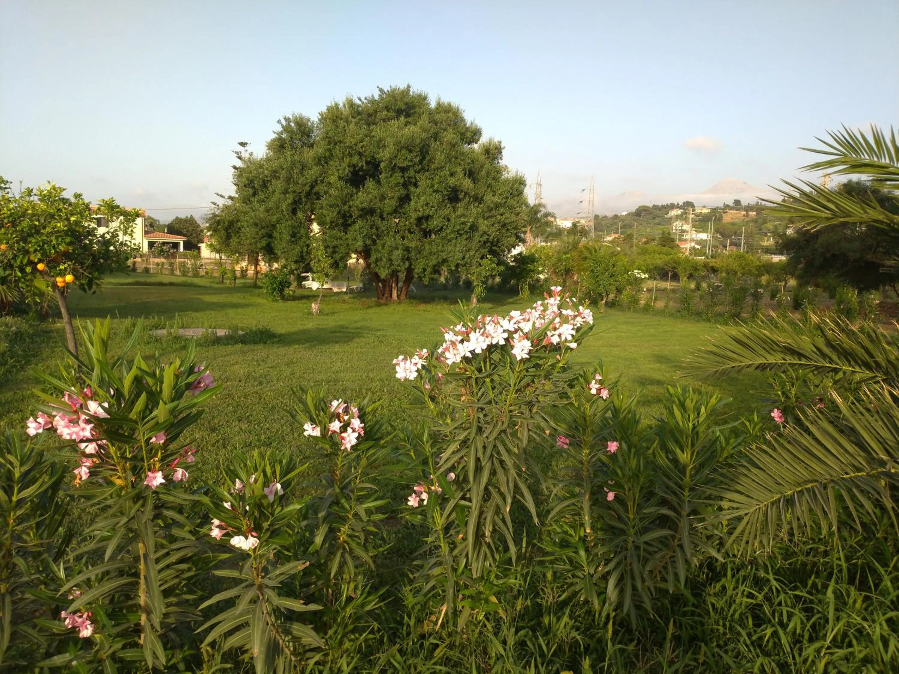 Natural landscape in Villa Teti - Sicilia