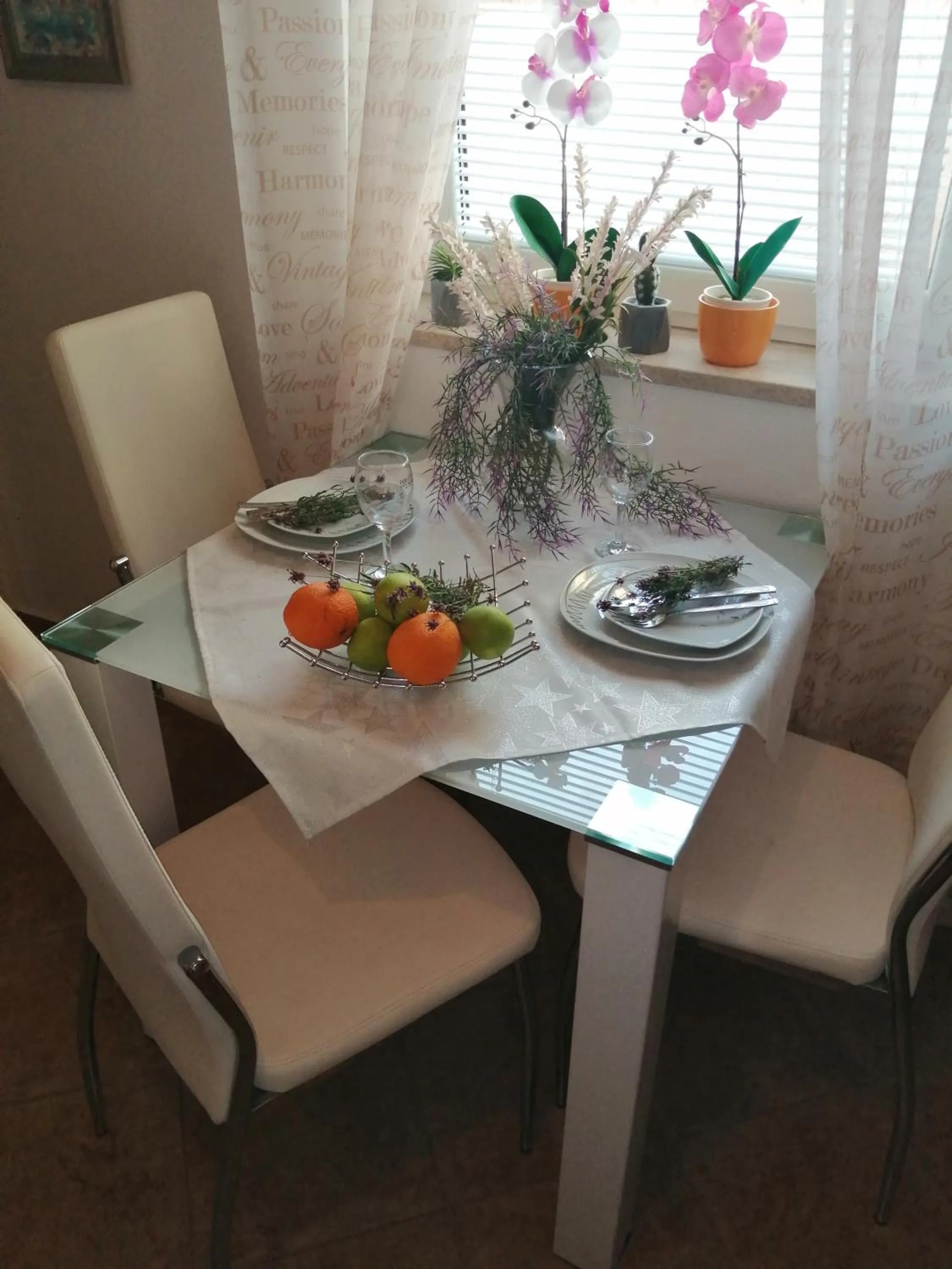 Photo of the whole room in Apartments Villa Nona