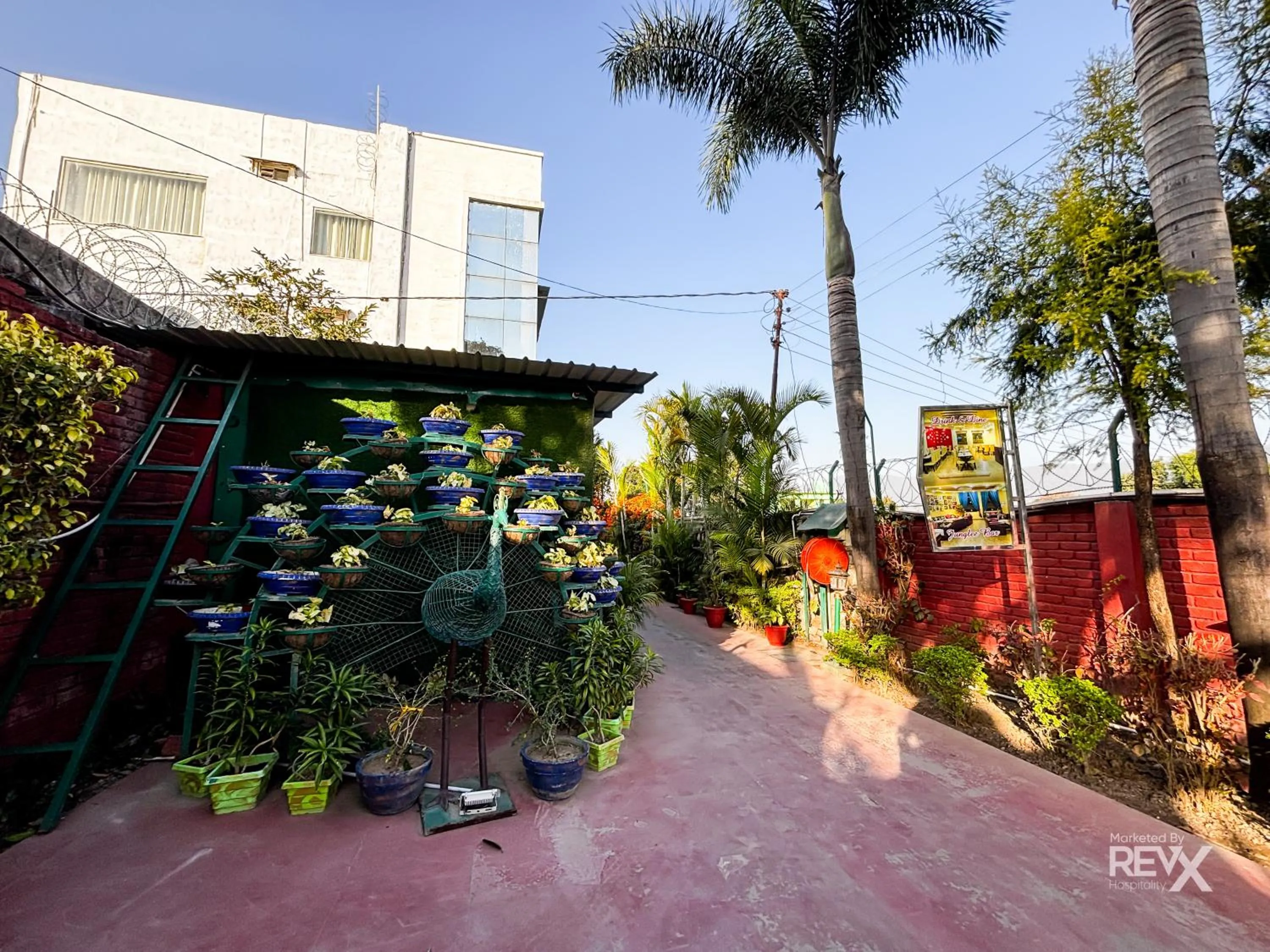 Spring in The Neeraj River Forest Resort Ayurvedic Wellness Center