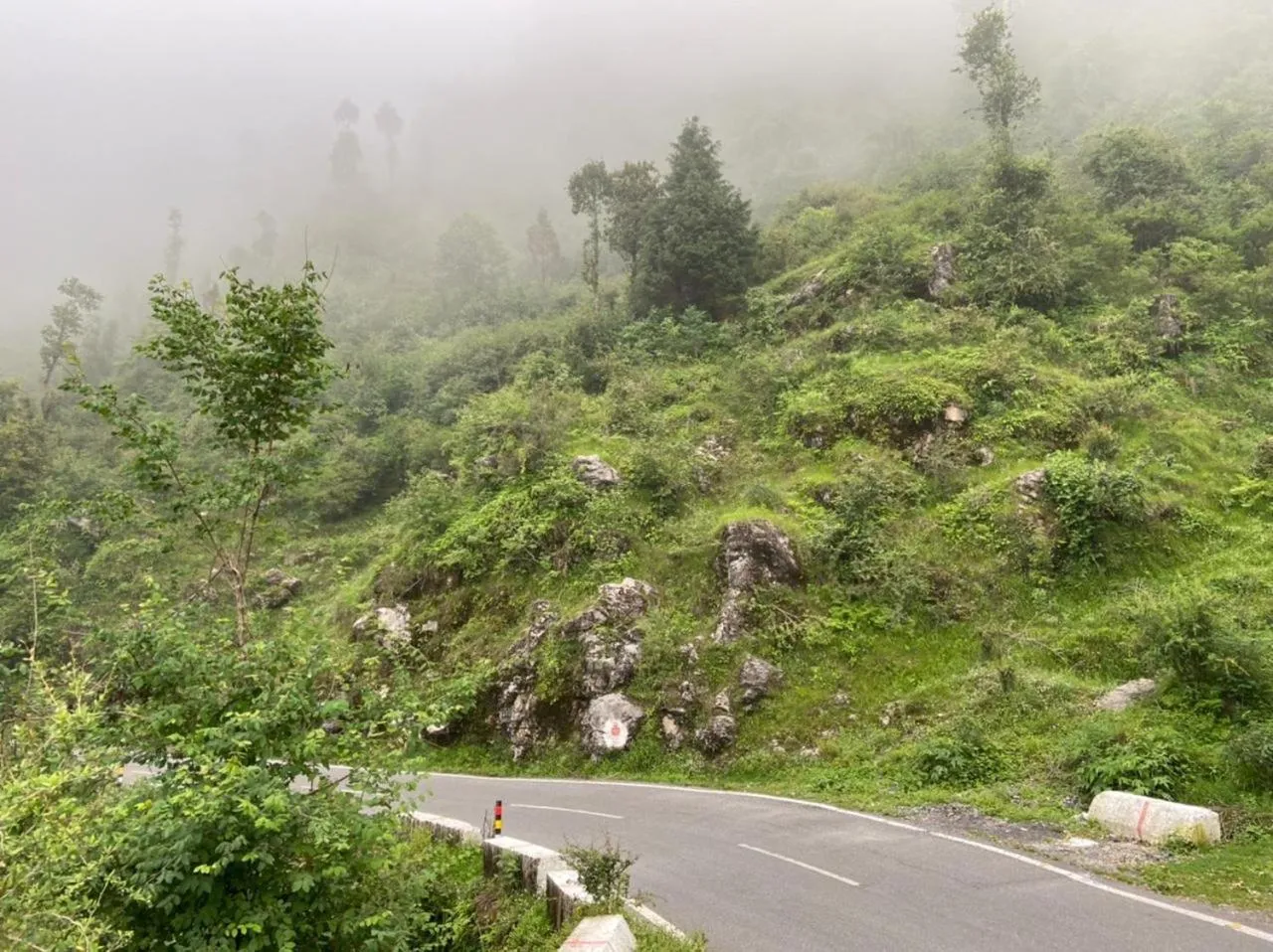 Natural landscape in Icebergs Mussoorie - A Boutique stay and 24 hrs roof top cafe