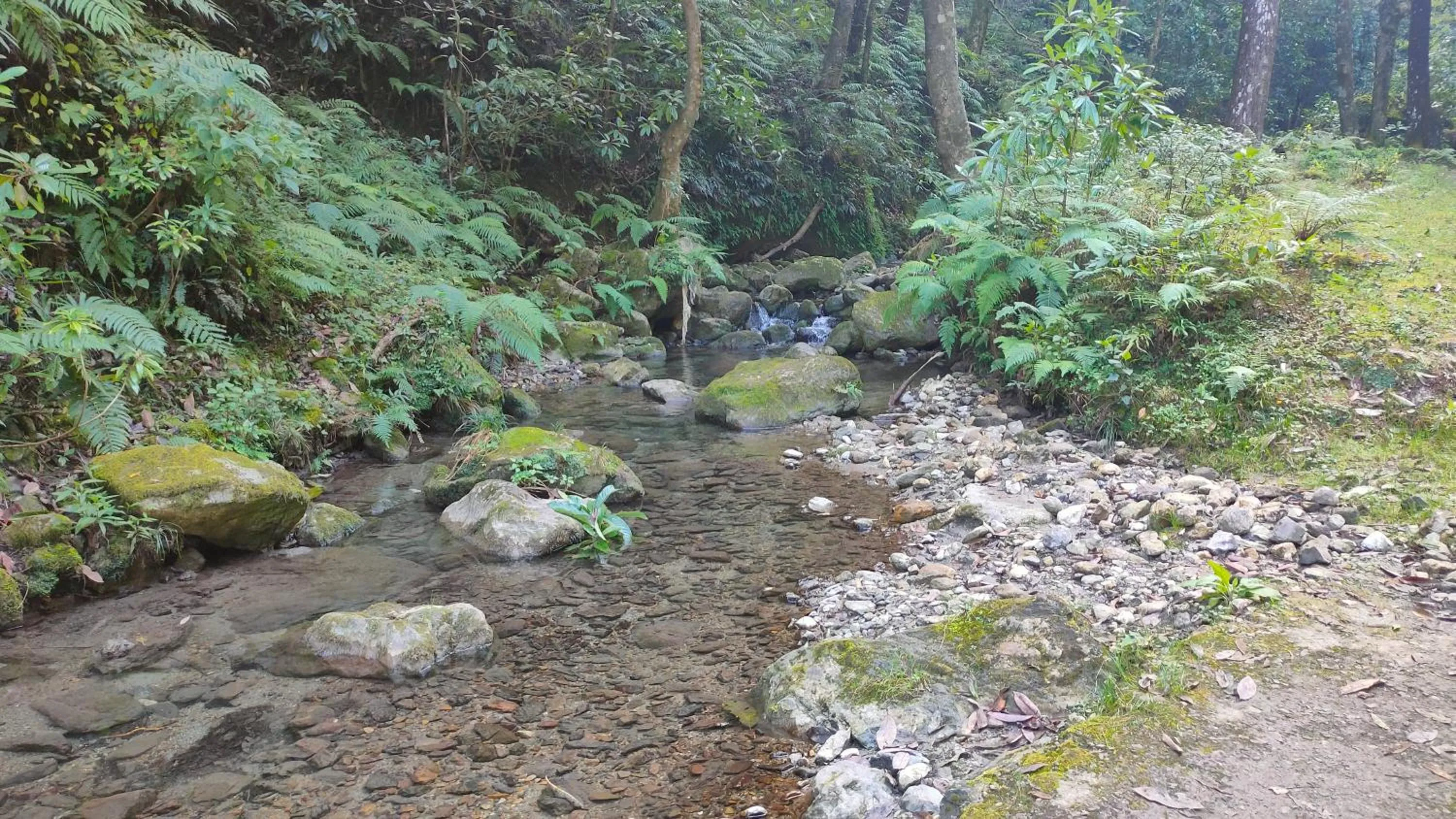 Nearby landmark in Icebergs Mussoorie - A Boutique stay and 24 hrs roof top cafe