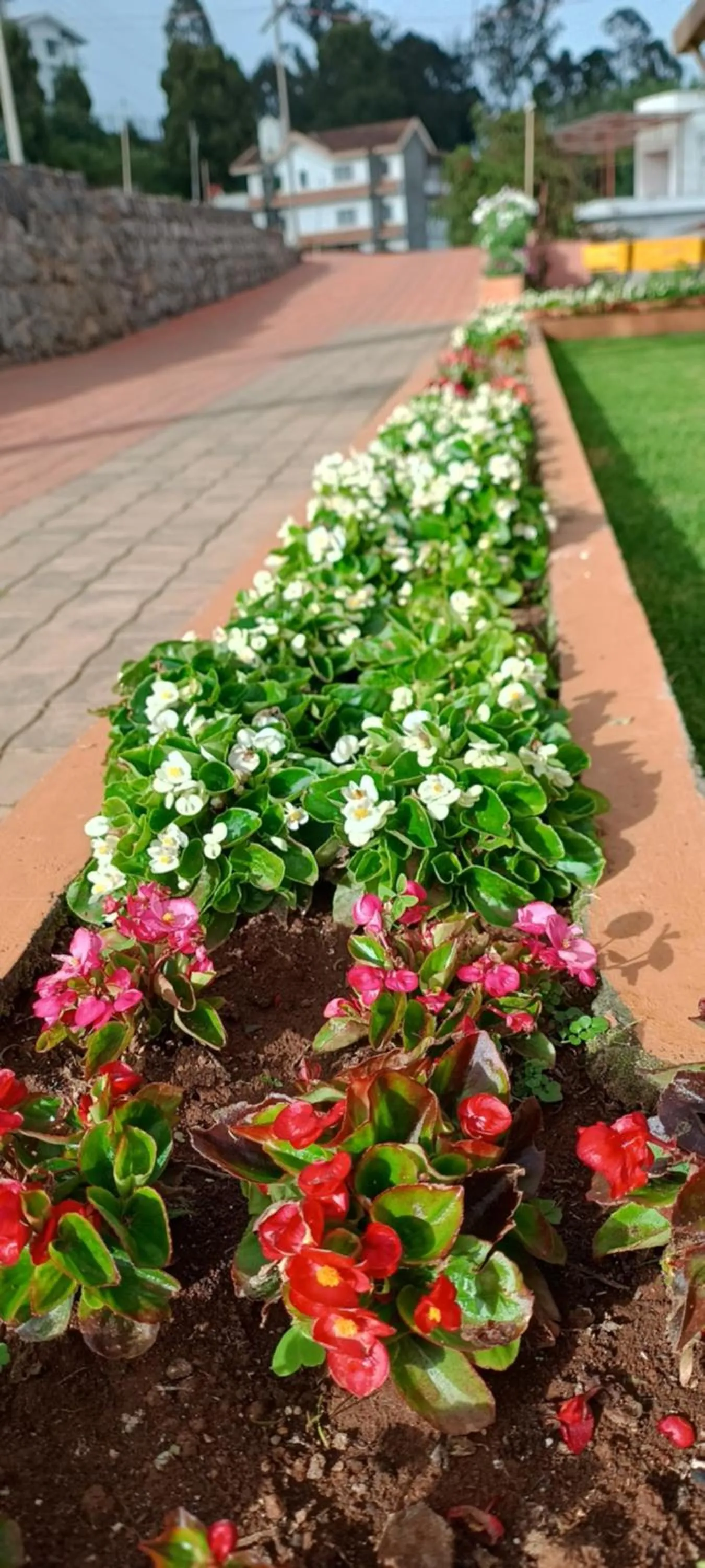 Garden in Yantra Resort, Ooty