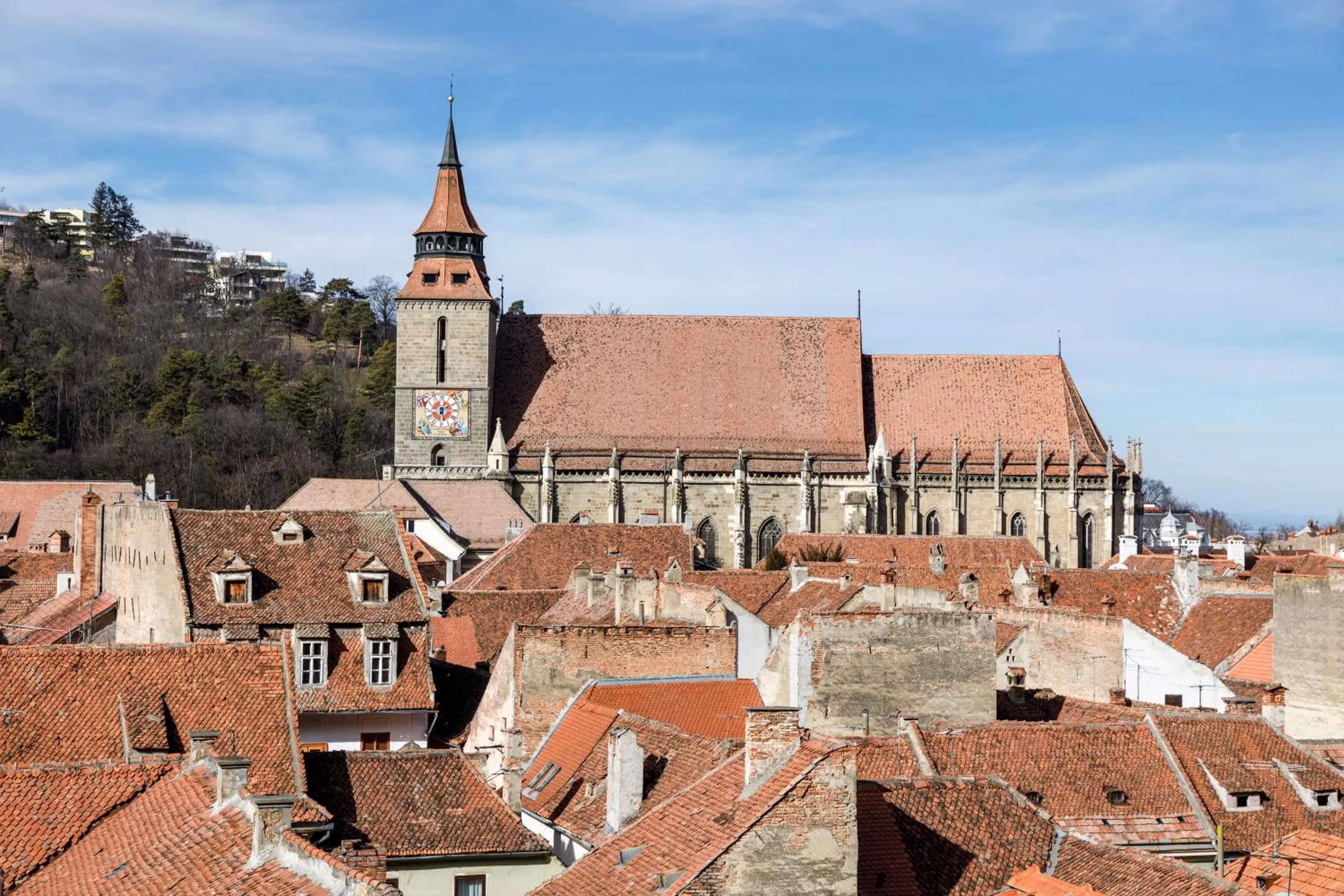 City view in SCHUSTER Boarding House