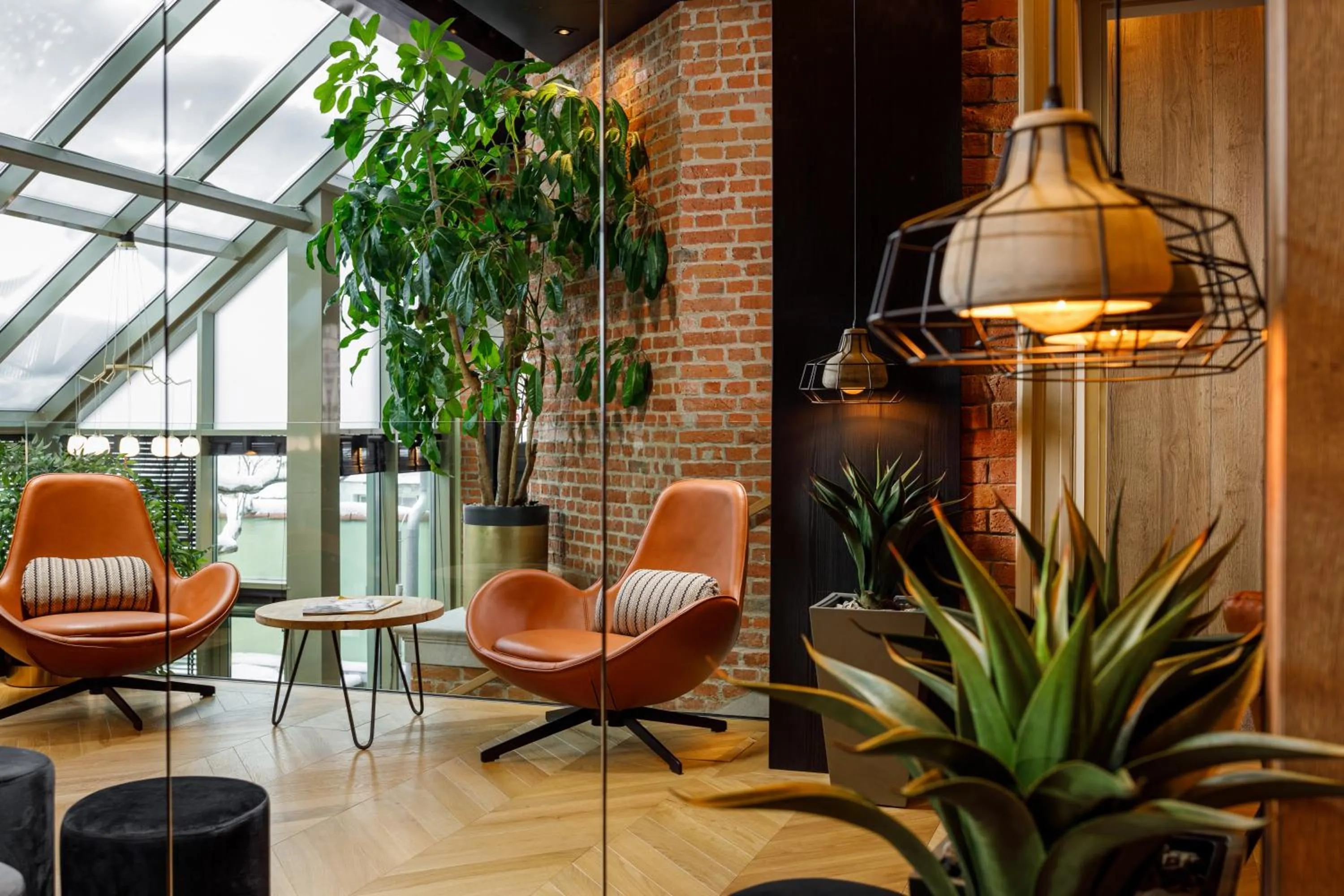 Lounge or bar in SCHUSTER Boarding House