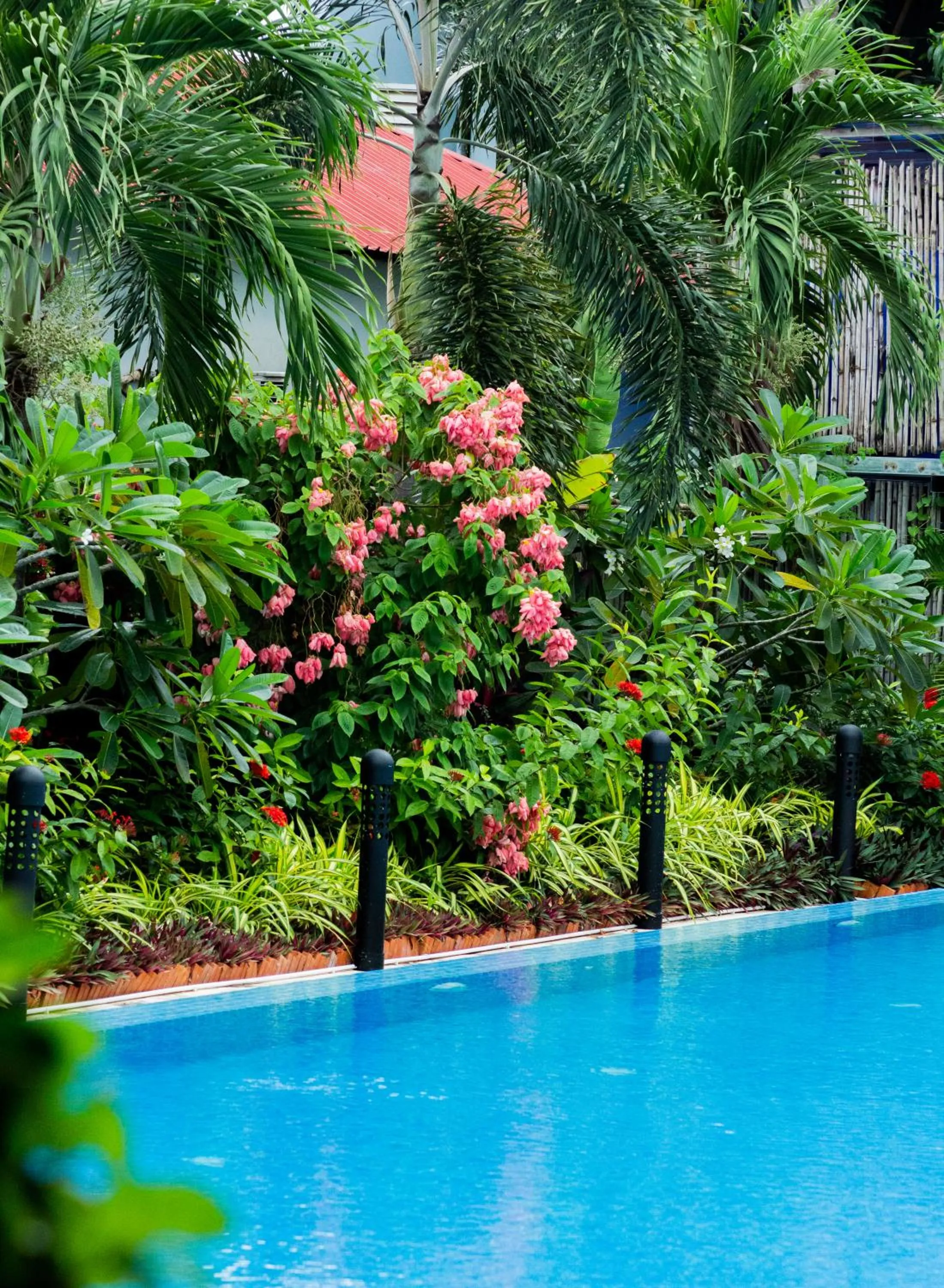 Natural landscape in Onederz Kampot