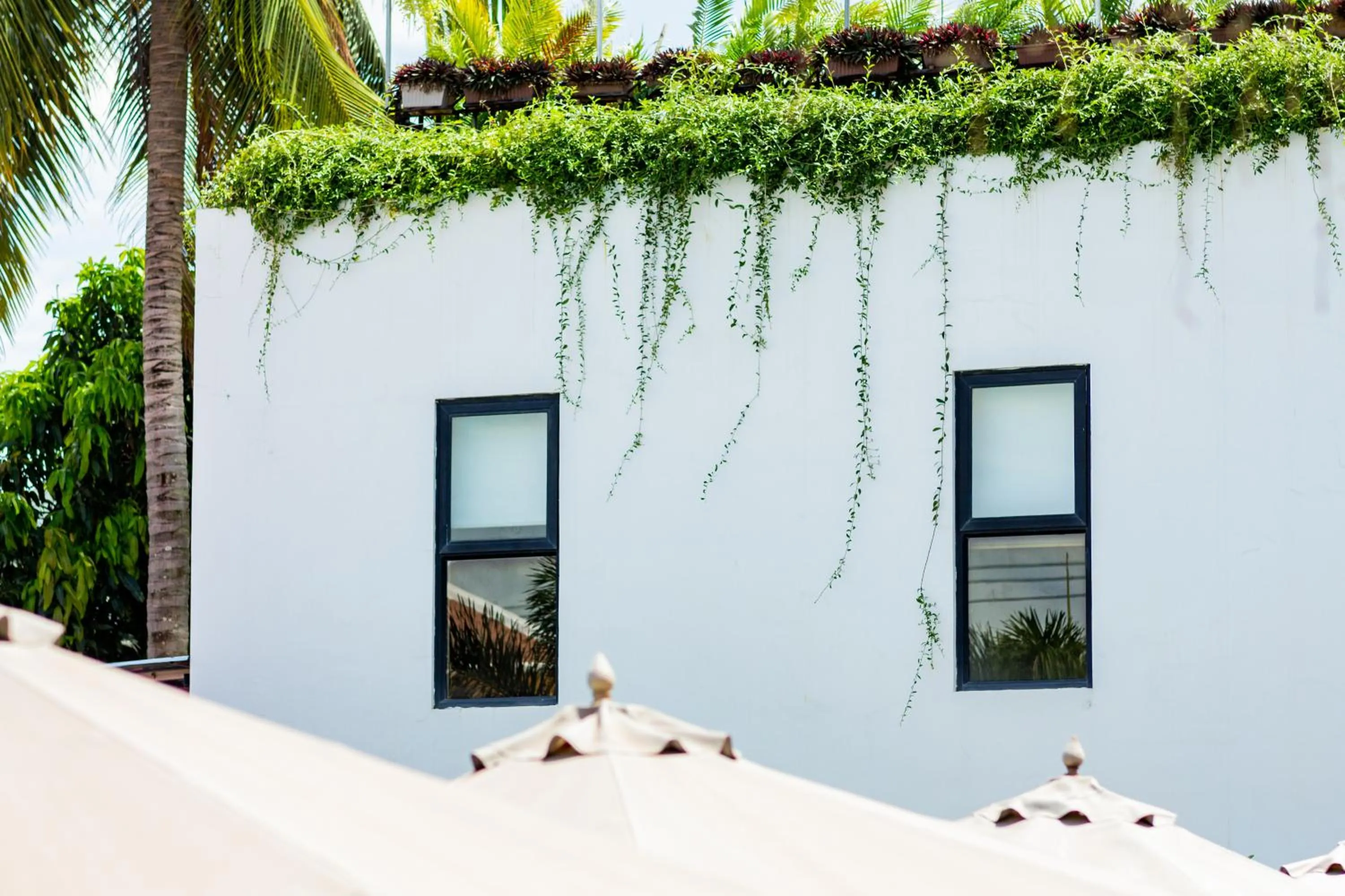 Property building in Onederz Kampot