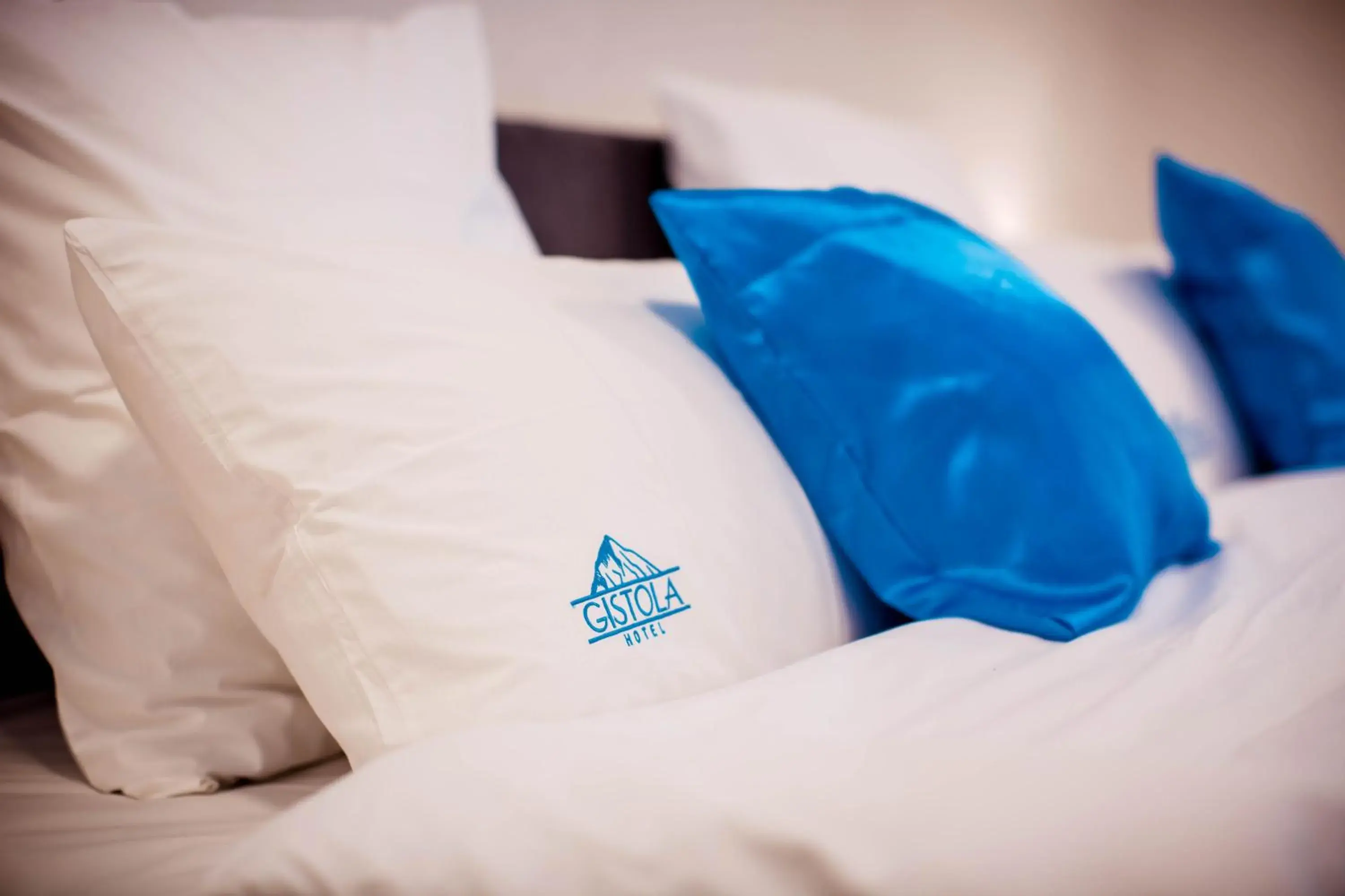 Deluxe Twin Room in Gistola Hotel Mestia Deluxe Twin Room in Gistola Hotel Mestia