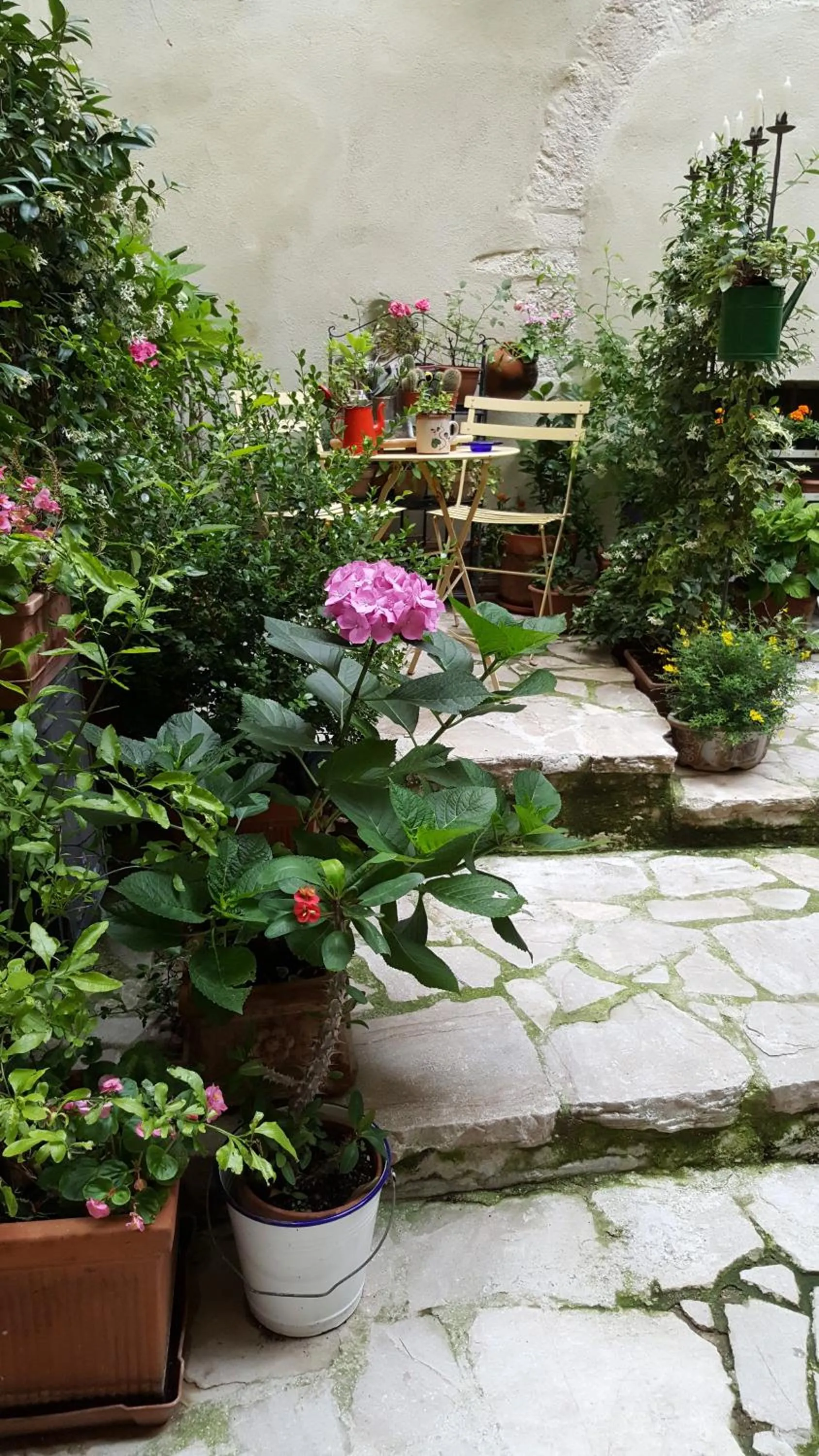 Garden view in Porta Del Tempo