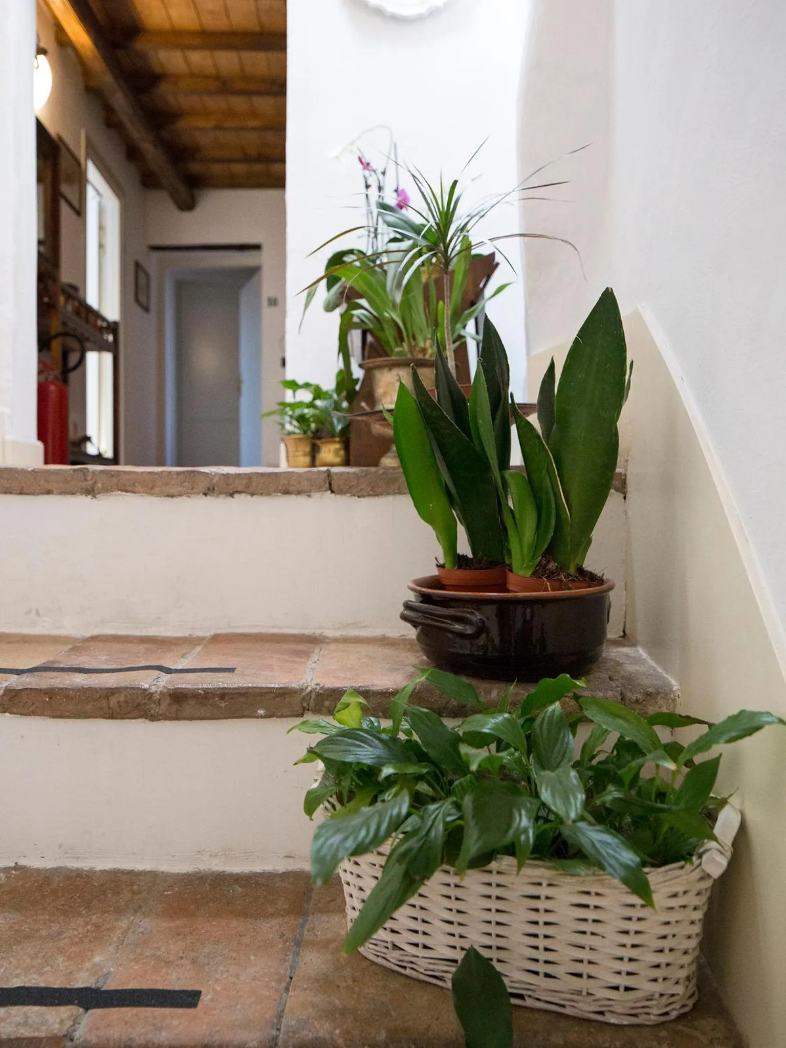 Decorative detail in Porta Del Tempo